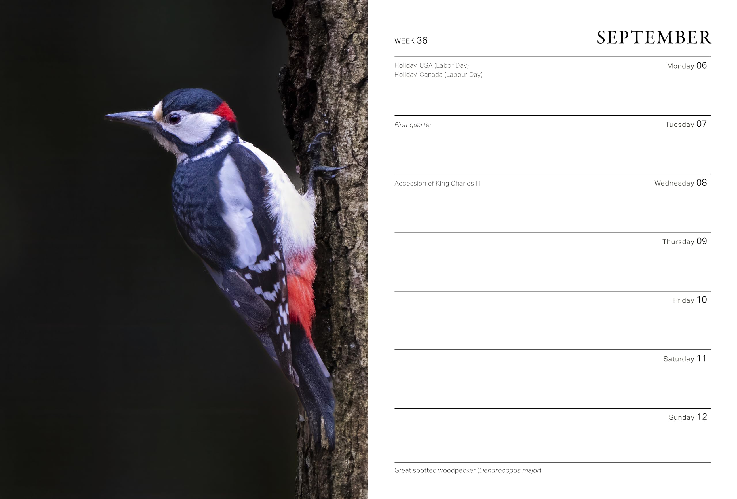 Frances Lincoln RHS Wild in the Garden Diary 2027 - Wildlife Gardening Companion | Week-to-View 6