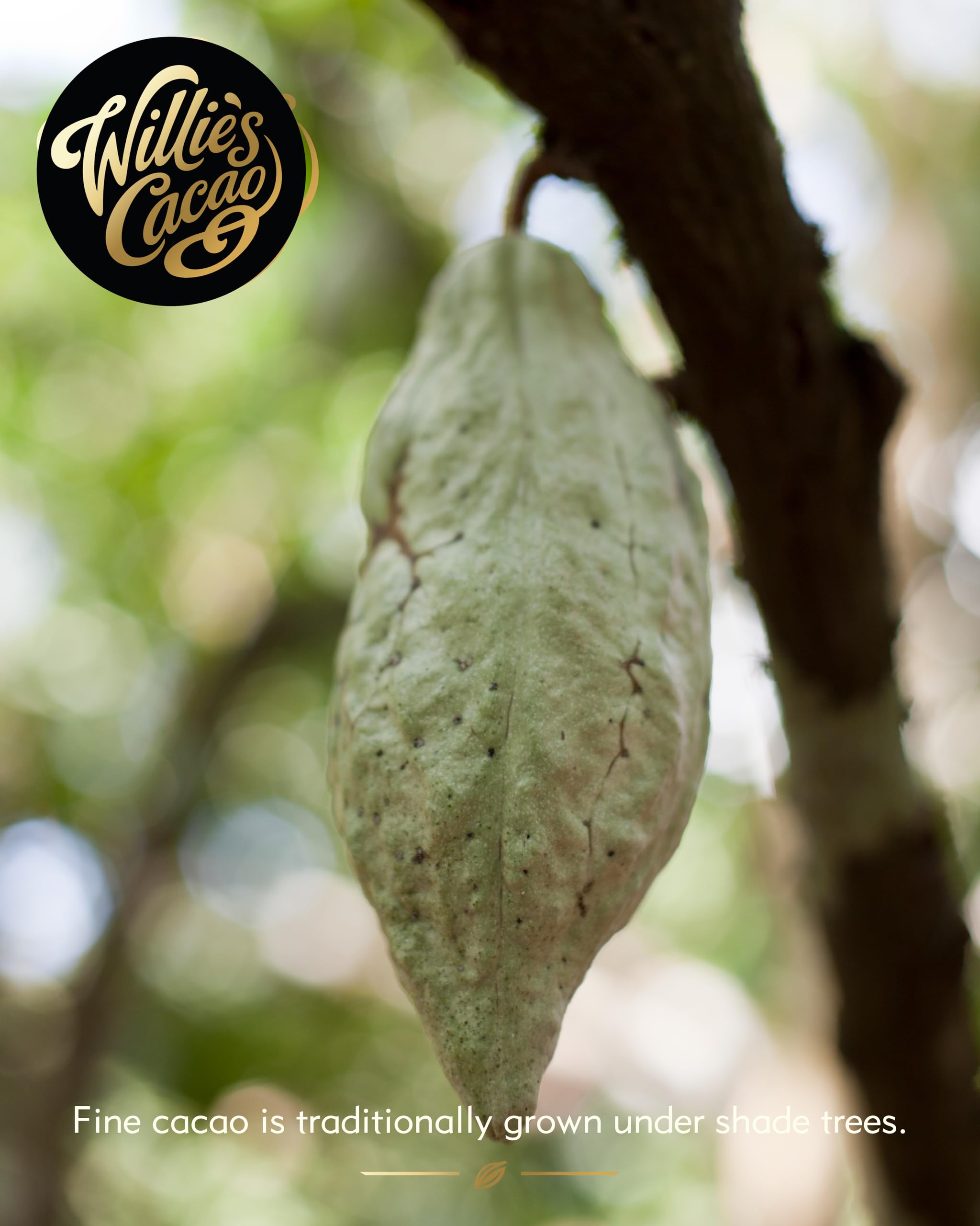 Willie's Cacao Bar - Milk of the Stars, Surabaya 54% Milk Chocolate - 50g 10