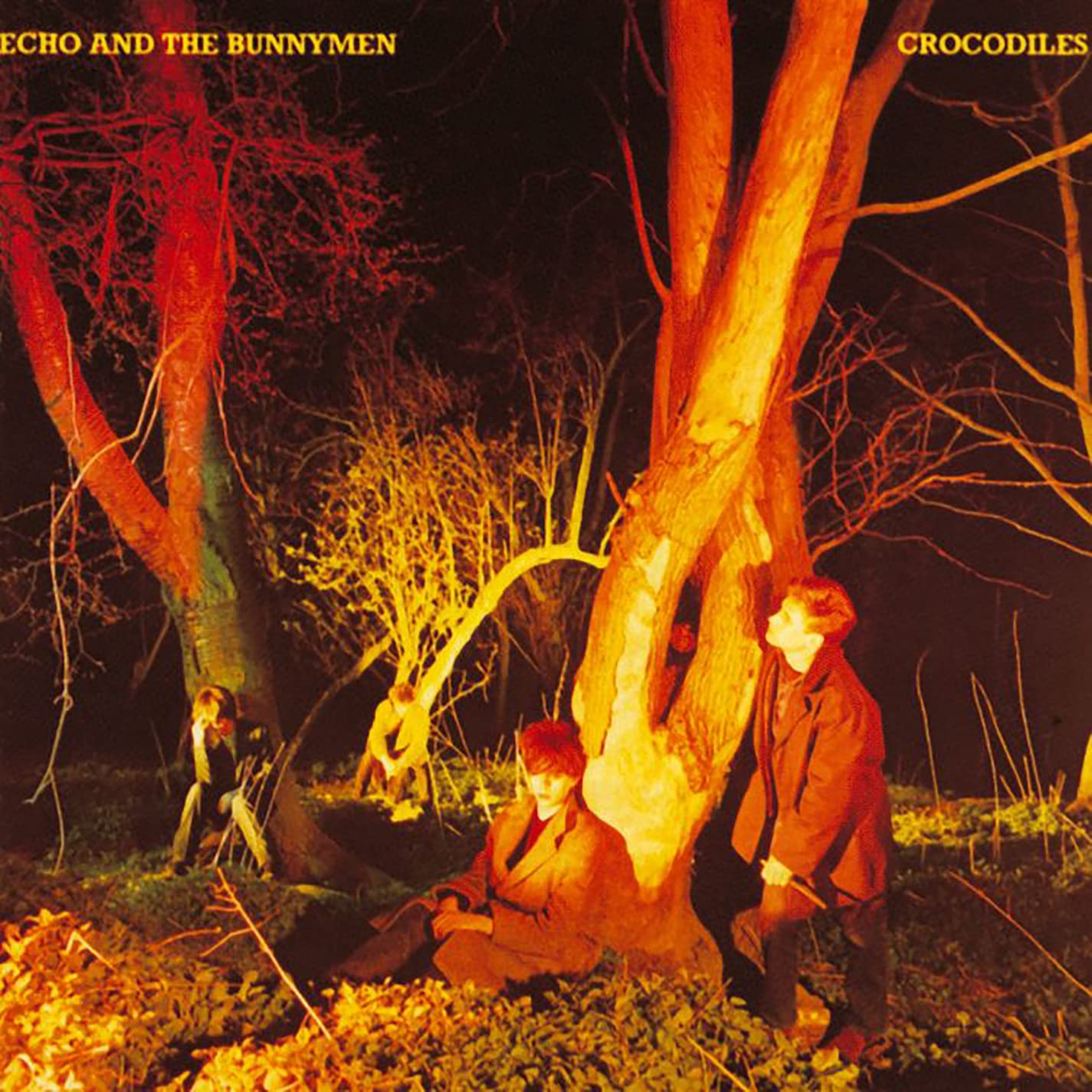 Echo & The Bunnymen - Crocodiles [Vinyl] 2