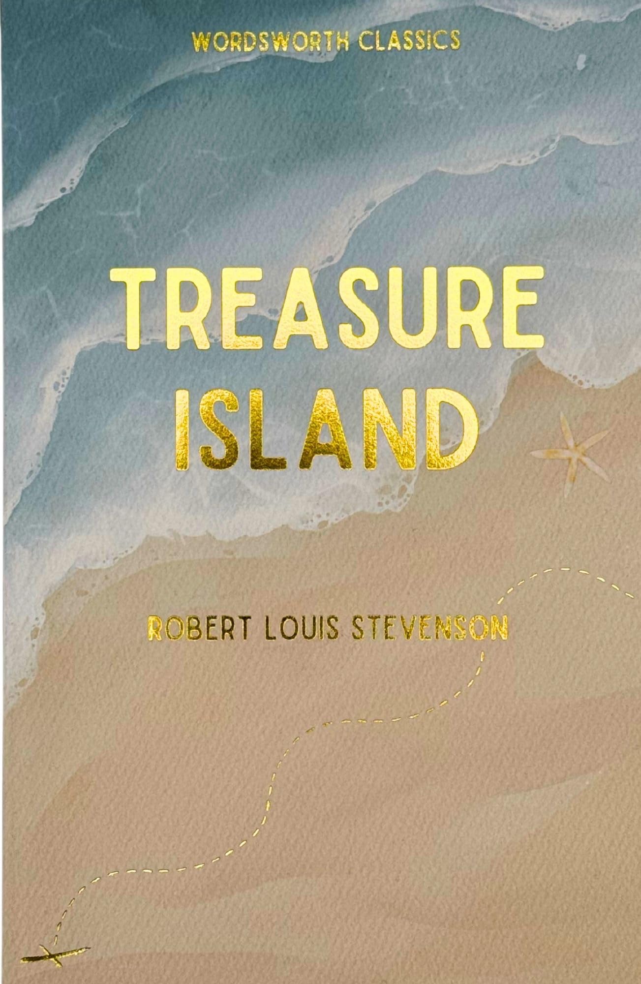 Robert Louis Stevenson - Treasure Island (Classic Edition) | Paperback | 240 Pages 1