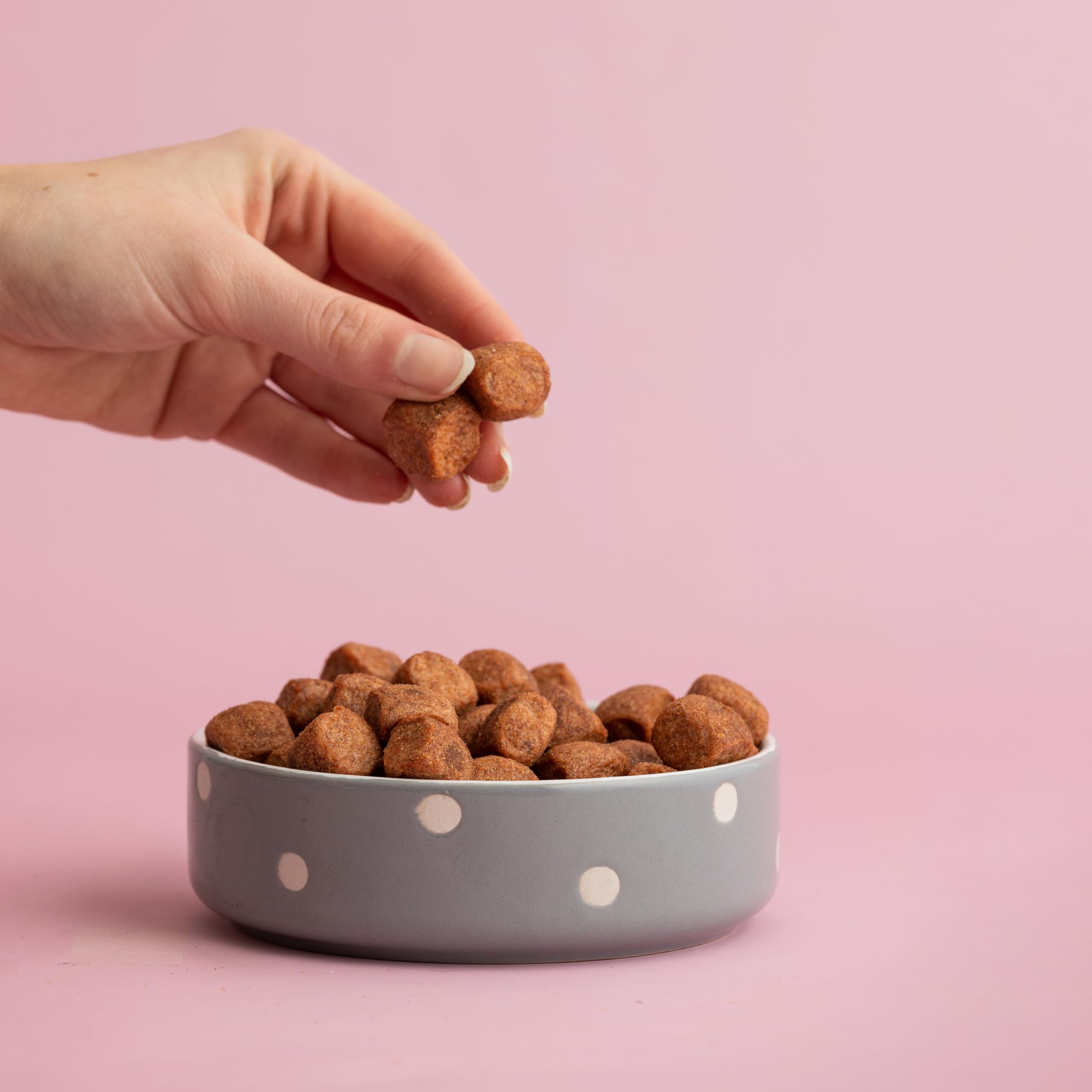 Mason Cash Polka Dot Pet Bowl - Grey, 13 cm | Dishwasher Safe | For Wet/Dry Food & Water 2