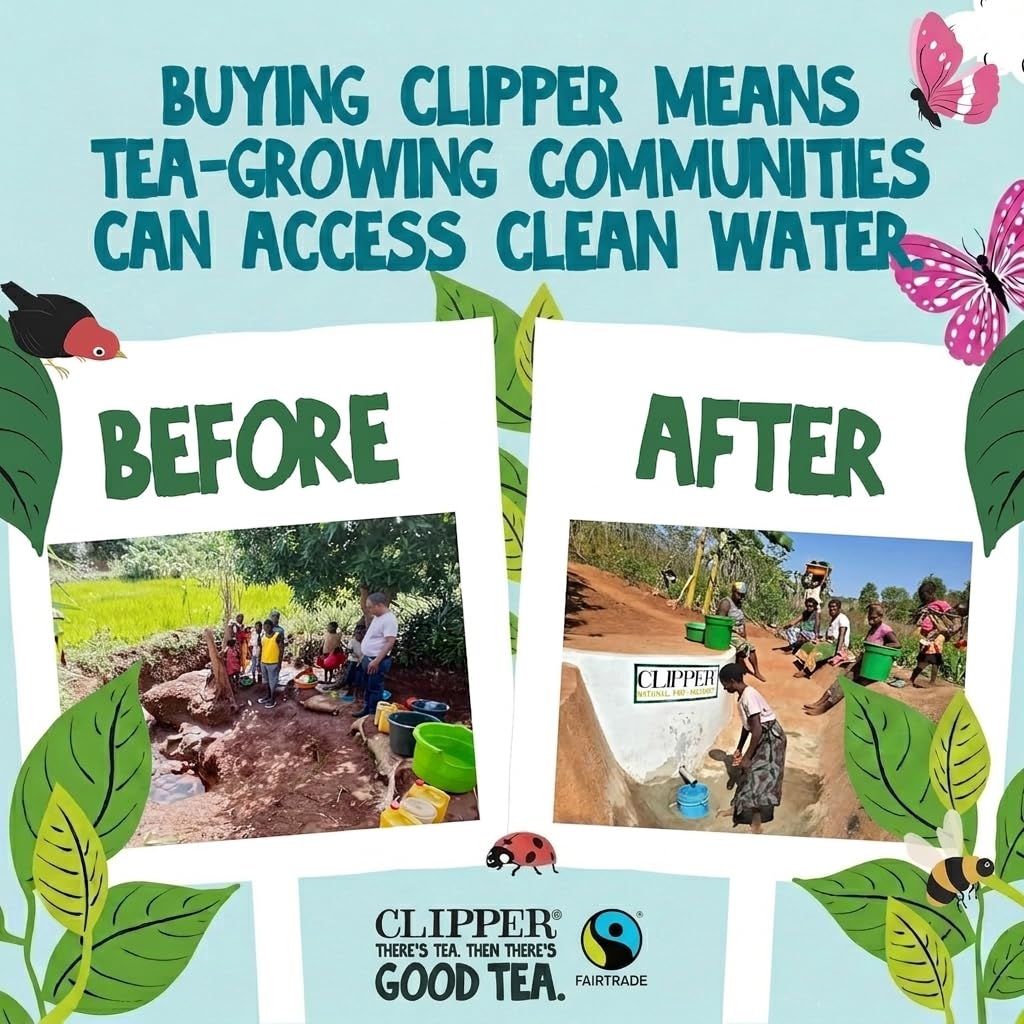 Clipper Organic Lemon Green Tea Bags - 120 Count (6x Boxes of 20) | Fairtrade & Plastic-Free 5
