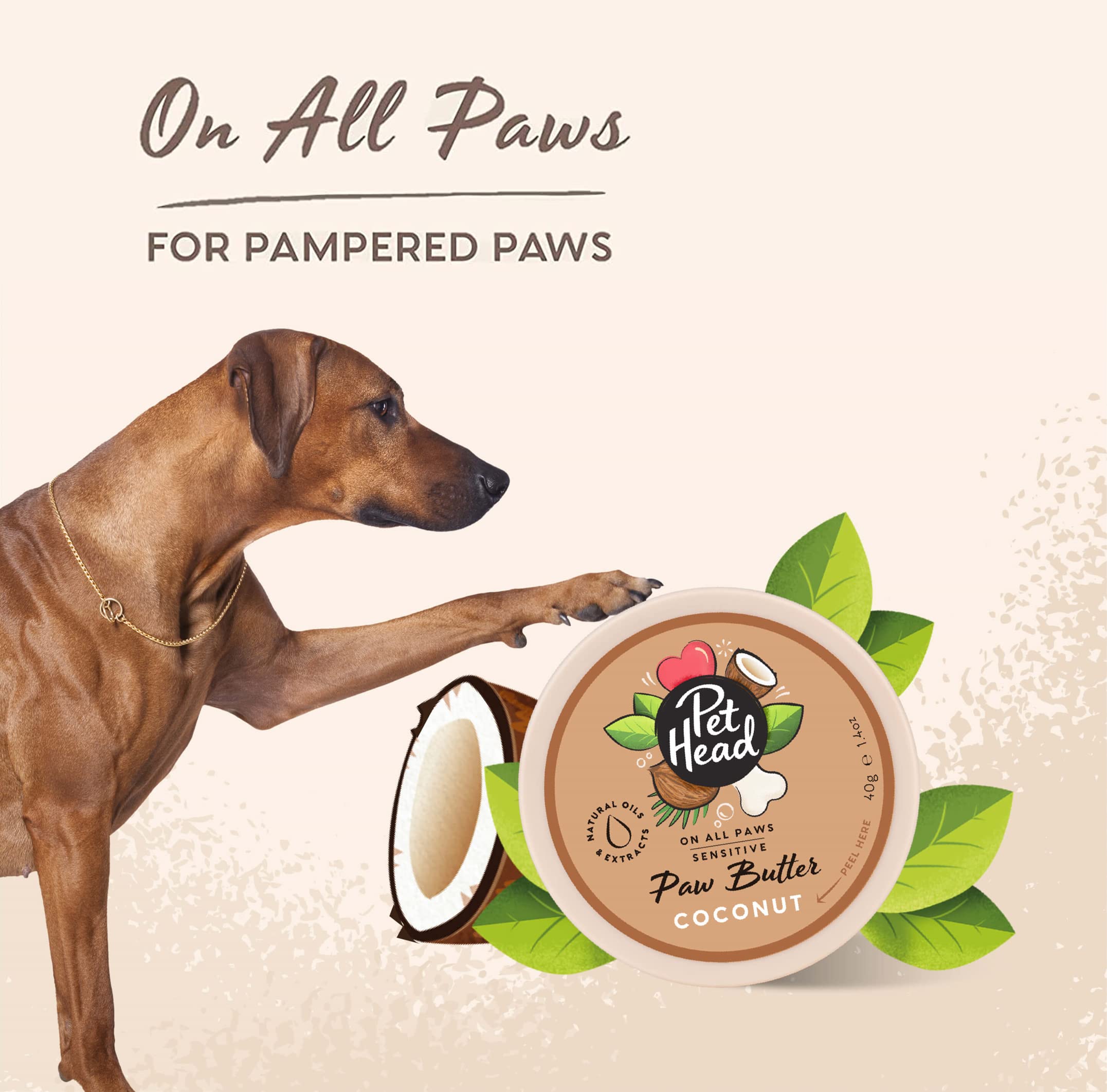 Pet Head Coconut Paw Butter - Moisturizing Cream for Paws & Noses | 40g 5
