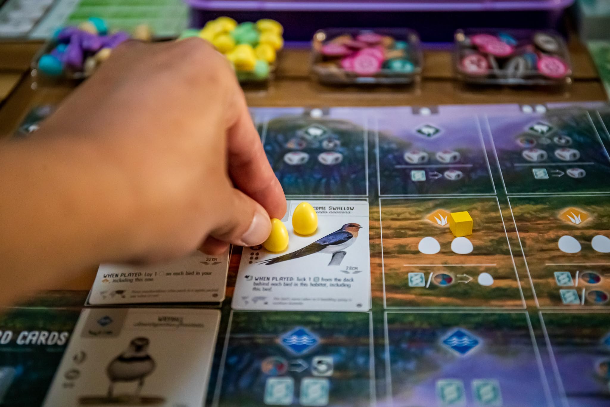 Stonemaier Games Wingspan: Oceania Expansion Board Game 3
