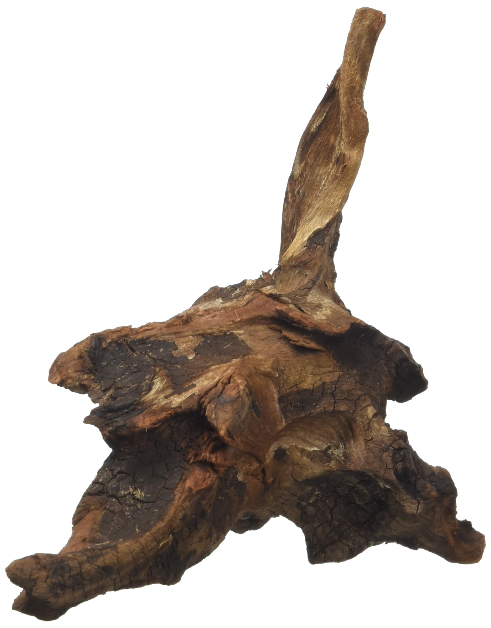 Amtra Mystic Wood - Natural Sinking Decor for Aquariums | 15-20 cm