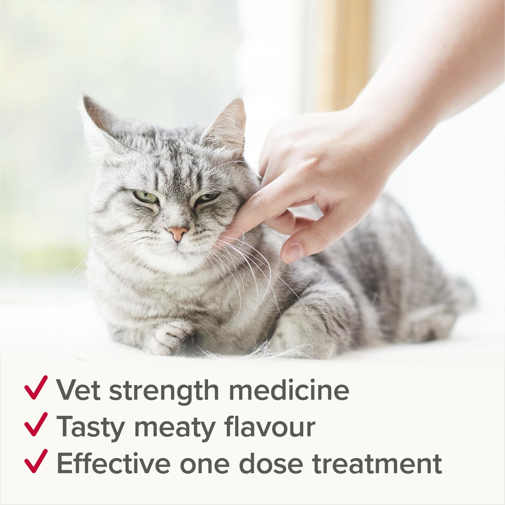 Beaphar WORMclear Tablets for Cats - Kills Common UK Worms | 4 Tablet Pack 4