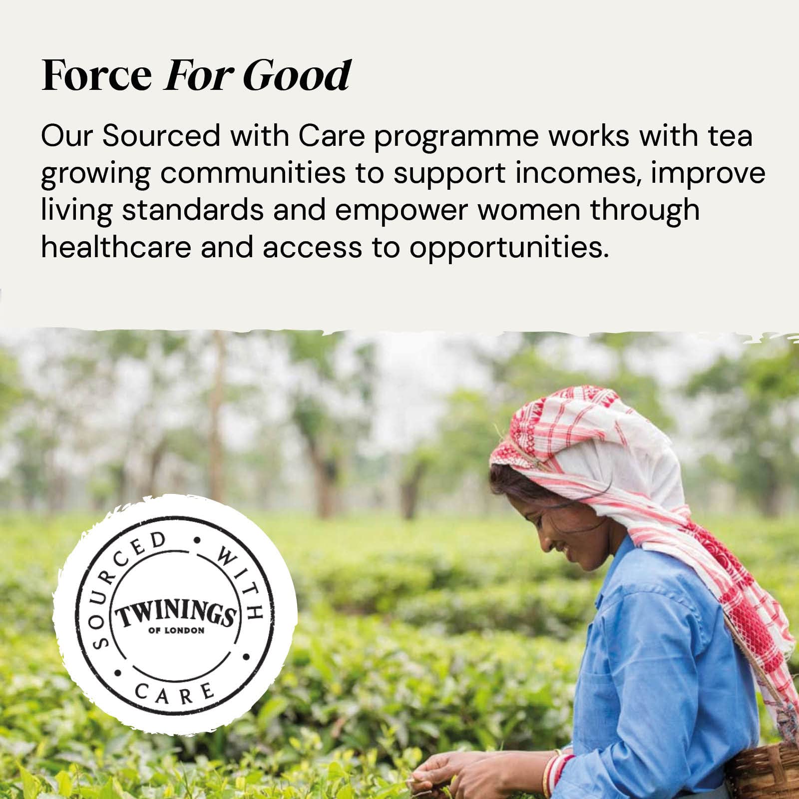 Twinings Organic Ceremonial Grade Matcha Green Tea Powder - 30g Tin 5