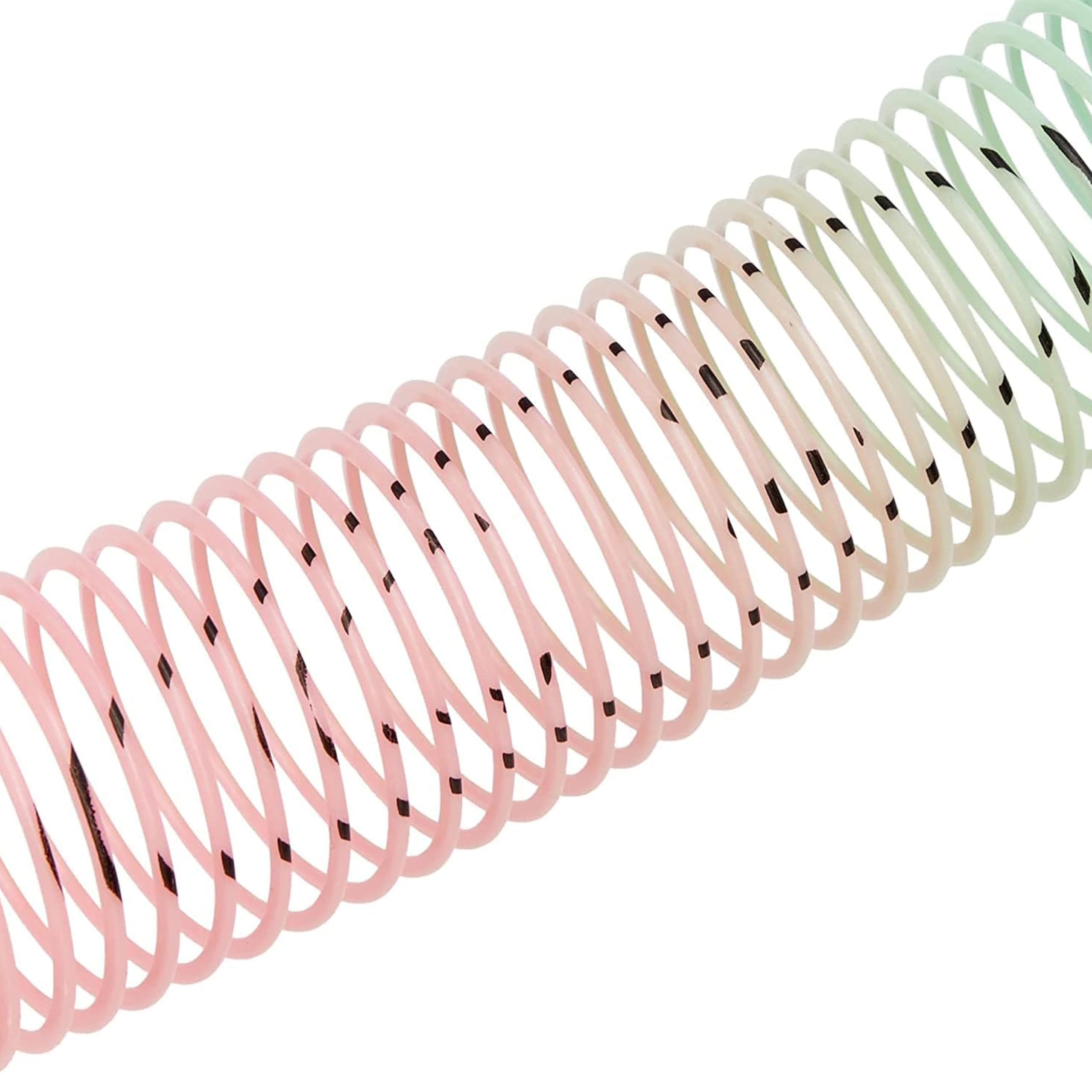 SHATCHI 6Pcs Rainbow Smile Face Springs - Stretches Up To 1 Meter | Plastic Wind-Up Toy 9