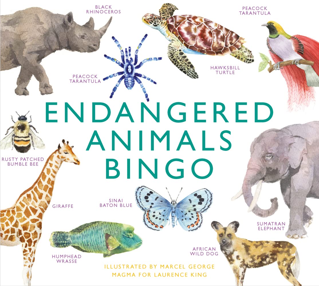 Endangered Animals Bingo: Learn About 64 Threatened Species with Illustrated Cards 2
