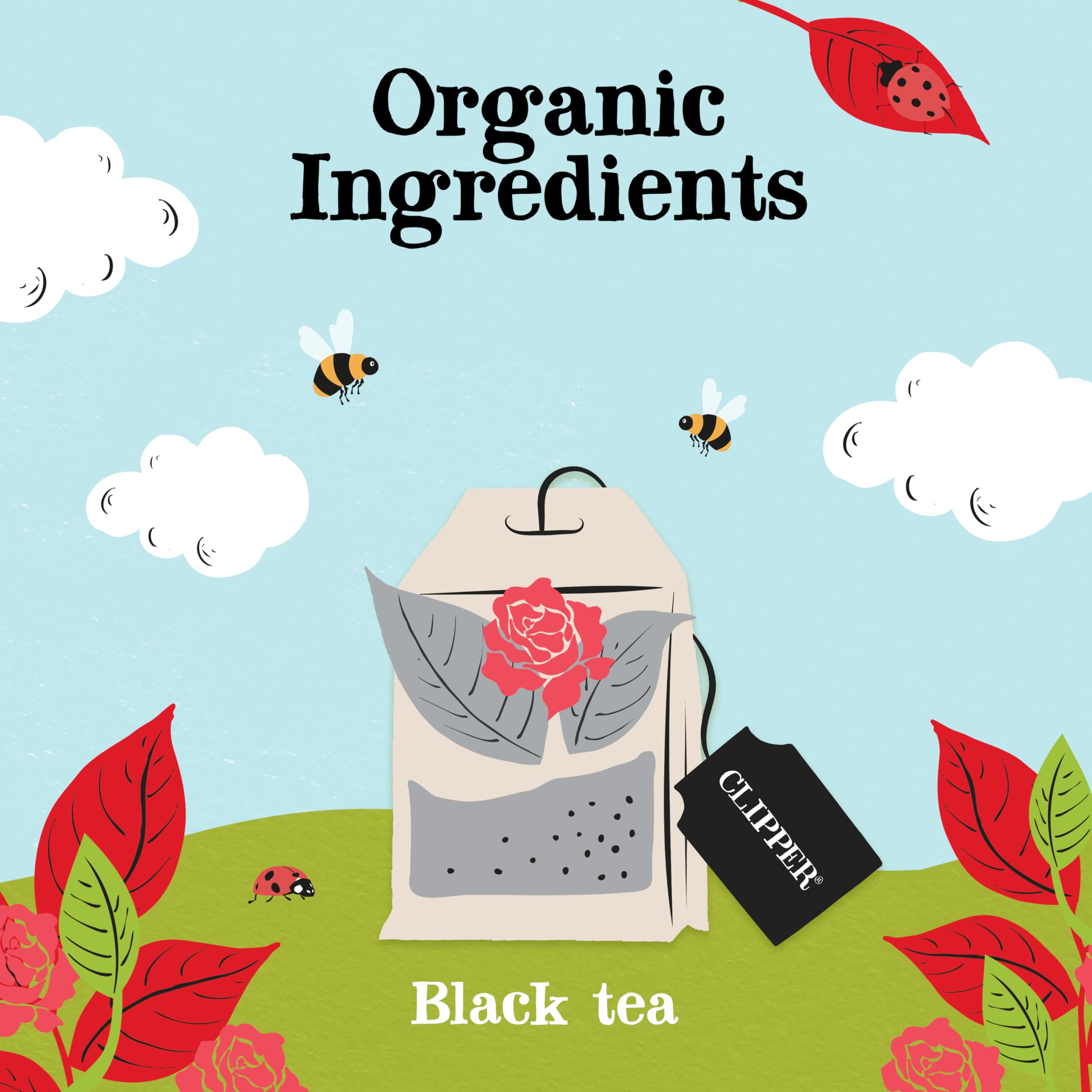 Clipper - Organic English Breakfast Tea Bags 250 Individually Wrapped 3