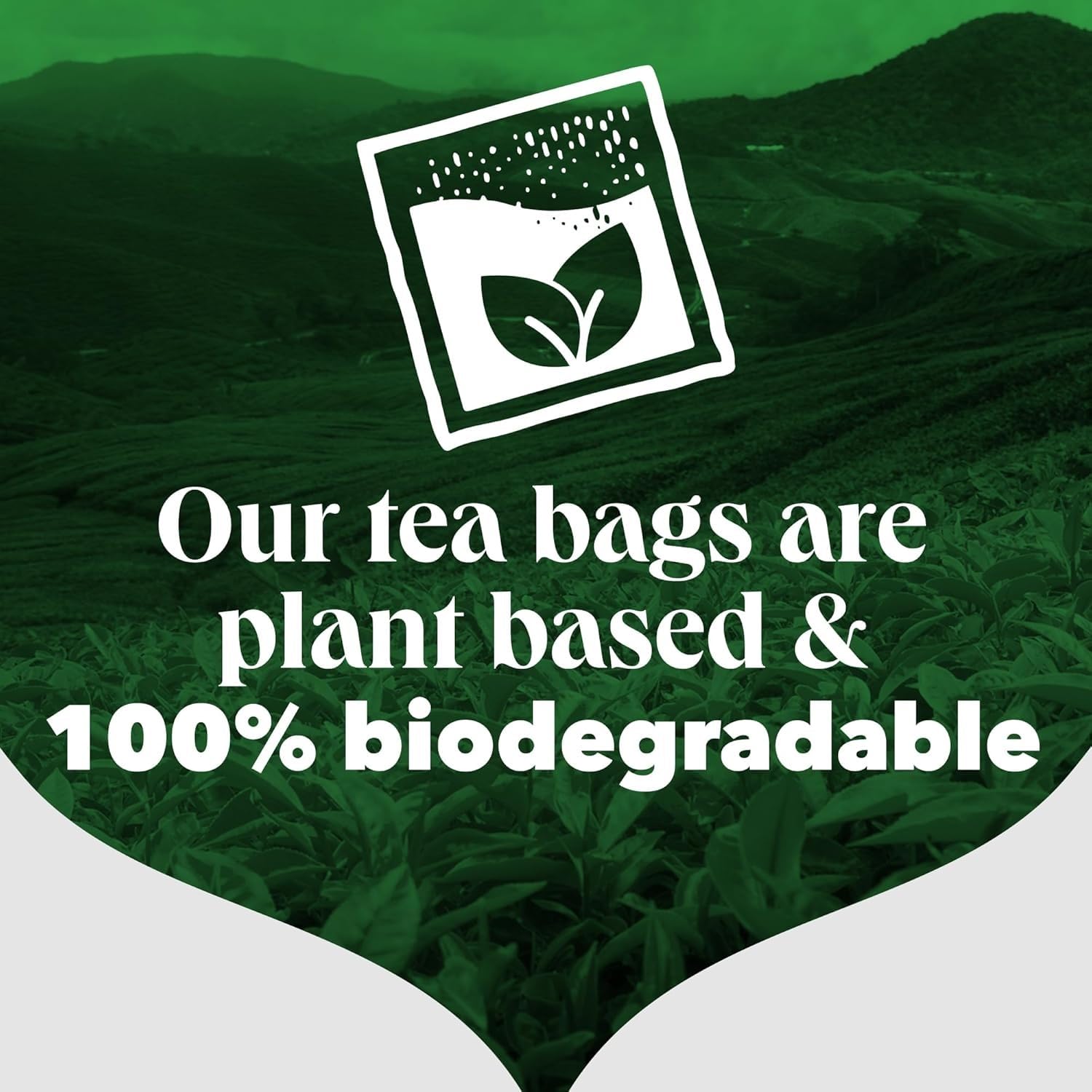 PG Tips - Original 80 Tea Bags 232g 9