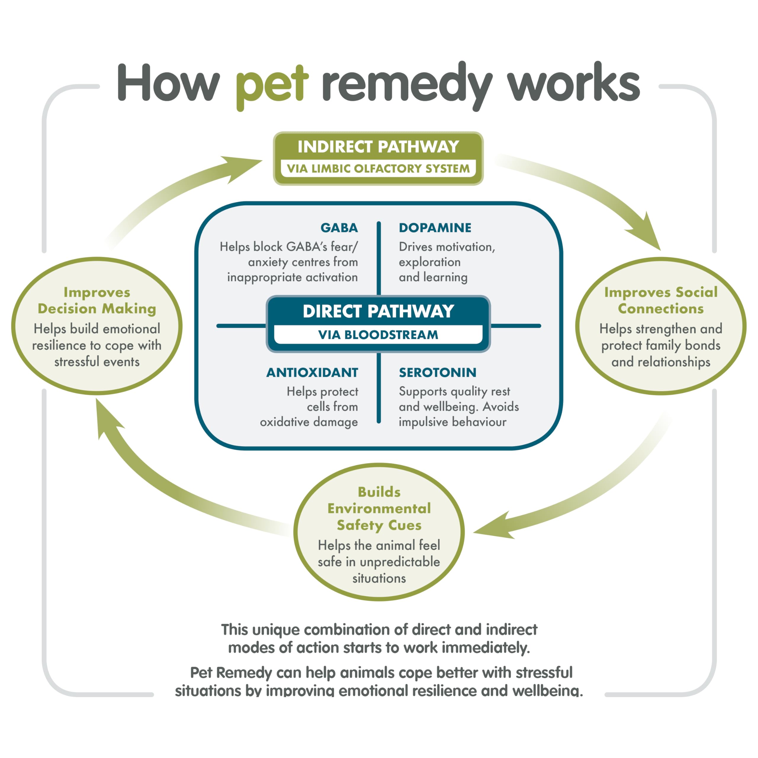 Pet Remedy Calming Spray - Natural De-Stress Formula | 15 ml | All Life Stages 2