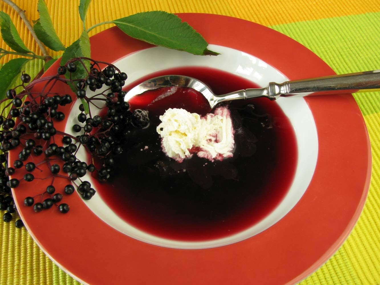 Health Embassy - Elderberry Dried Fruit (Sambucus nigra L) (50g) 5