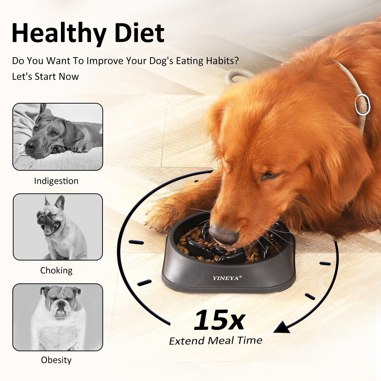 YINEYA Slow Feeder Dog Bowl - Prevents Choking & Bloat | Medium/Small Breed | Polypropylene 3