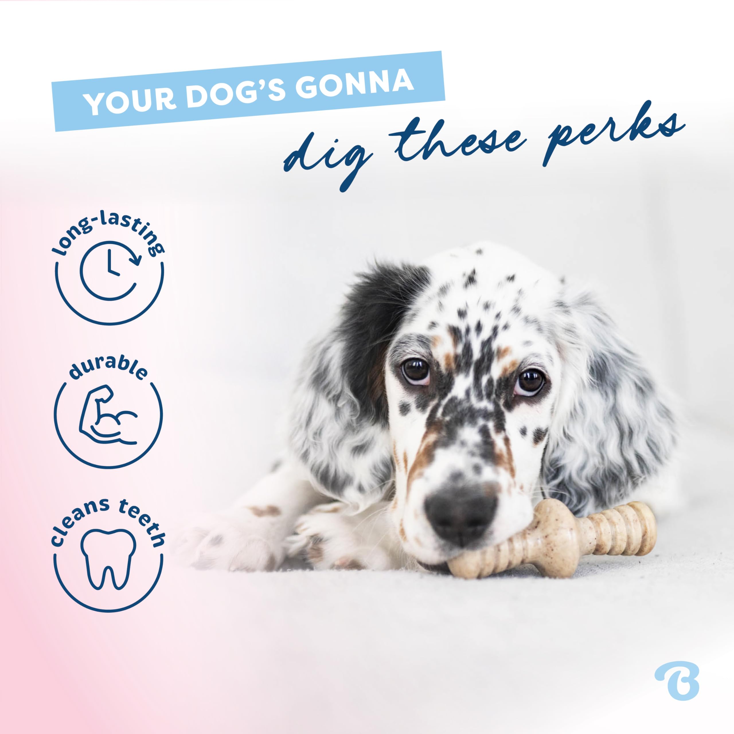 Benebone Puppy Tiny 2-Pack Indestructible Chew Toy - Real Bacon/Maple Flavor | For Dogs up to 15 lb 3