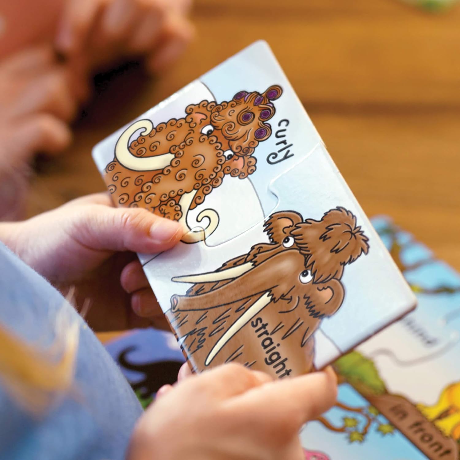 Orchard Toys Dinosaur Opposites Activity Puzzles - 20 Two-Piece Educational Puzzles for Ages 3-6 3