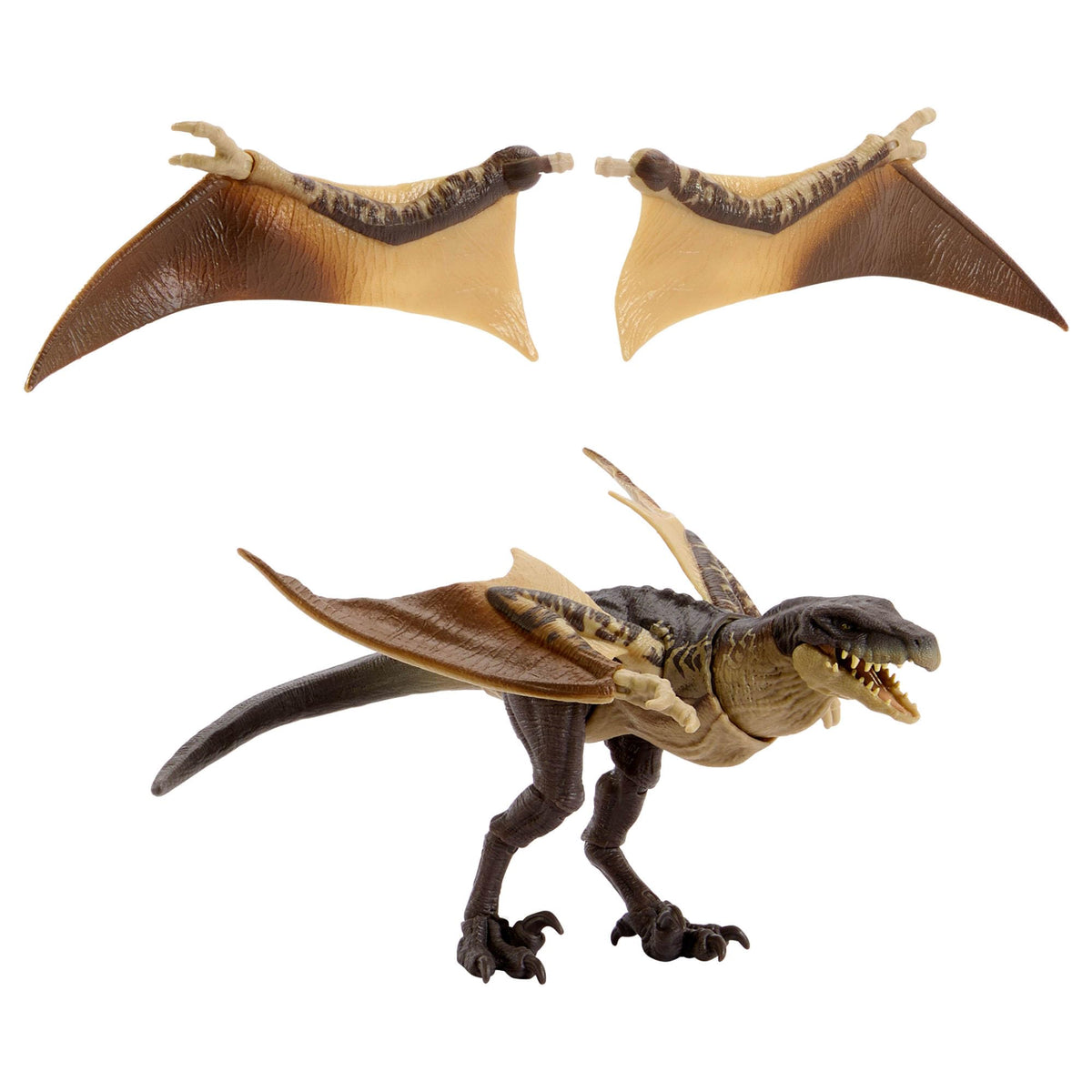 Jurassic World Hammond Collection Mutadon Action Figure - JKM90, 8+