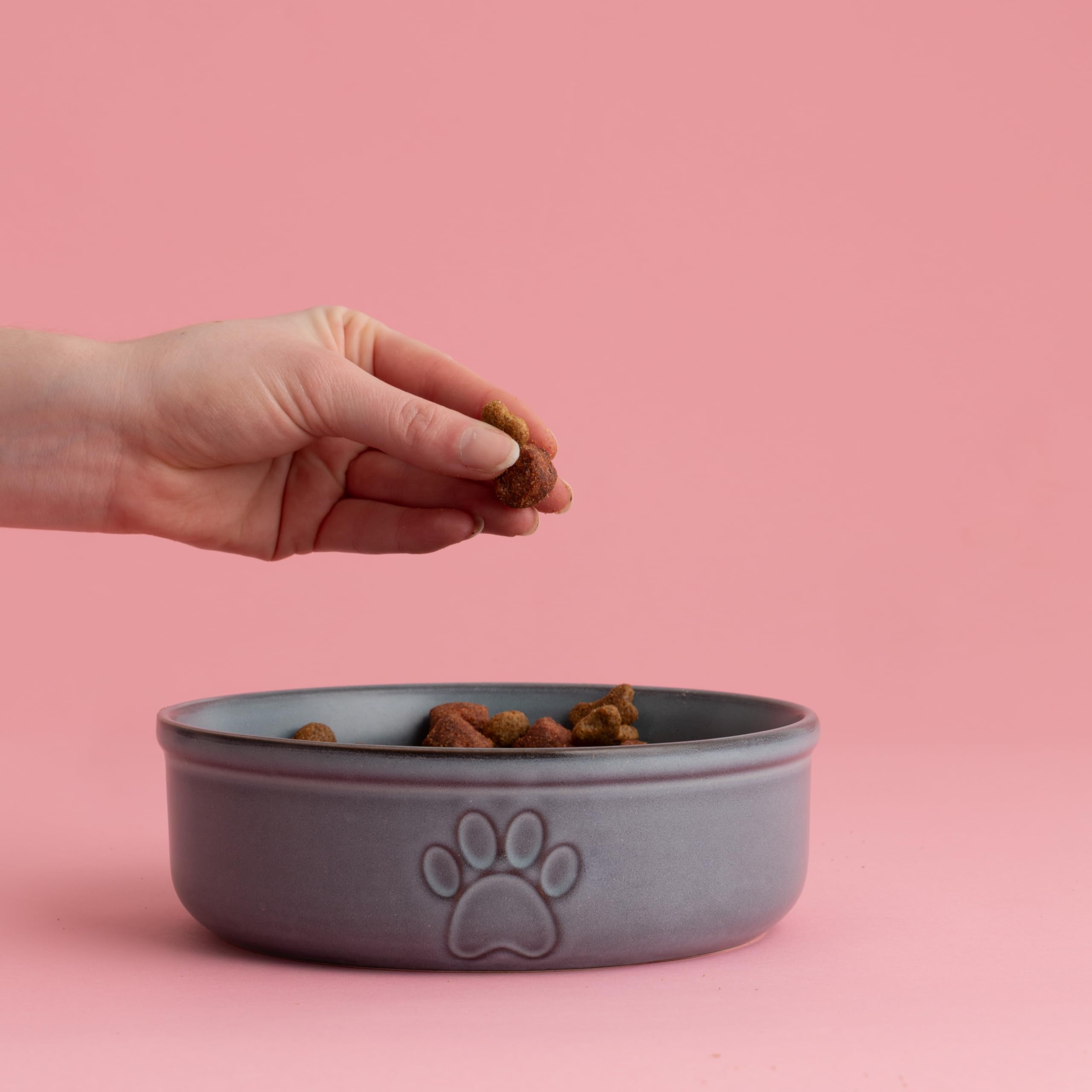 Mason Cash Reactive Paw Large Dog Bowl - 18cm Diameter, 950ml Capacity, Stoneware 4