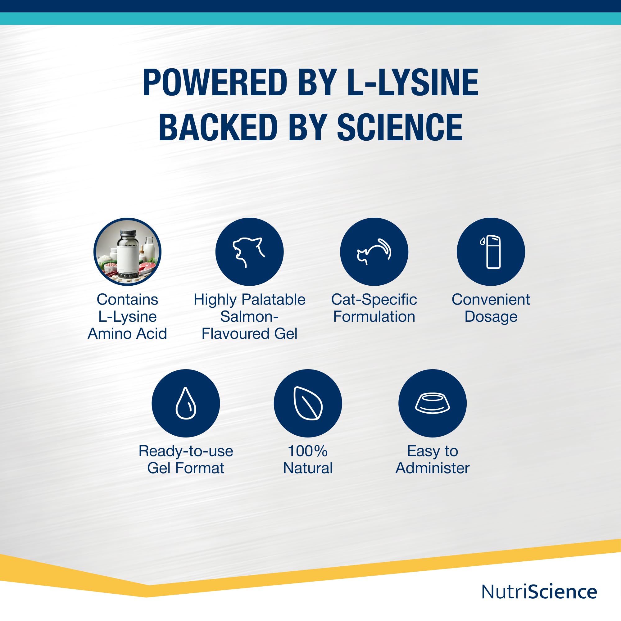 NutriScience Lysine Aid Cat Gel - Immune Support for FHV-1 Symptoms | 50ml 4
