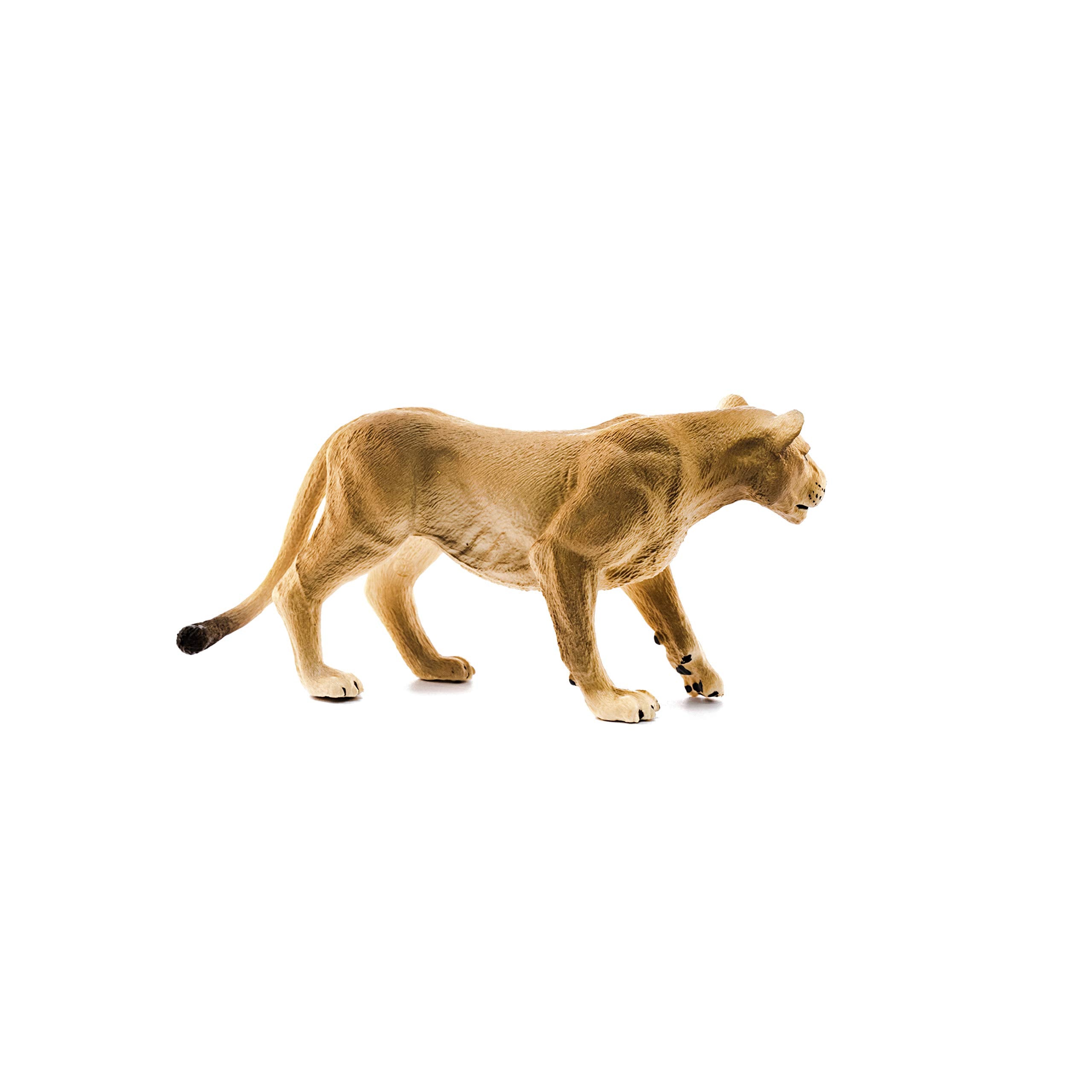 SCHLEICH Lioness Wildlife Figurine - Detailed Hand-Painted Animal Model for Kids 3-8 Years 4