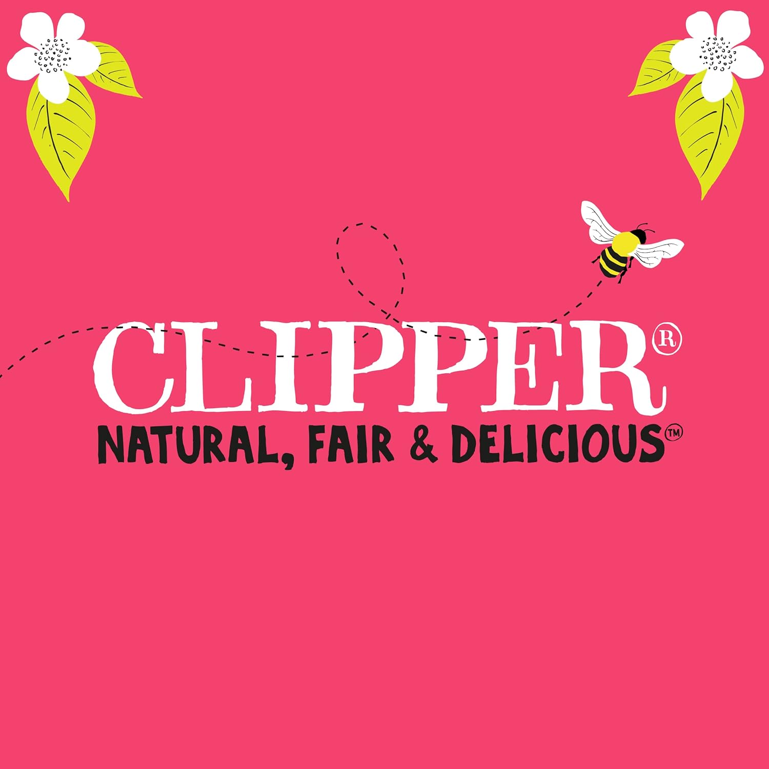 Clipper - Organic Restoring Roots Ginger & Turmeric Tea Bags | 20 Infusions 4