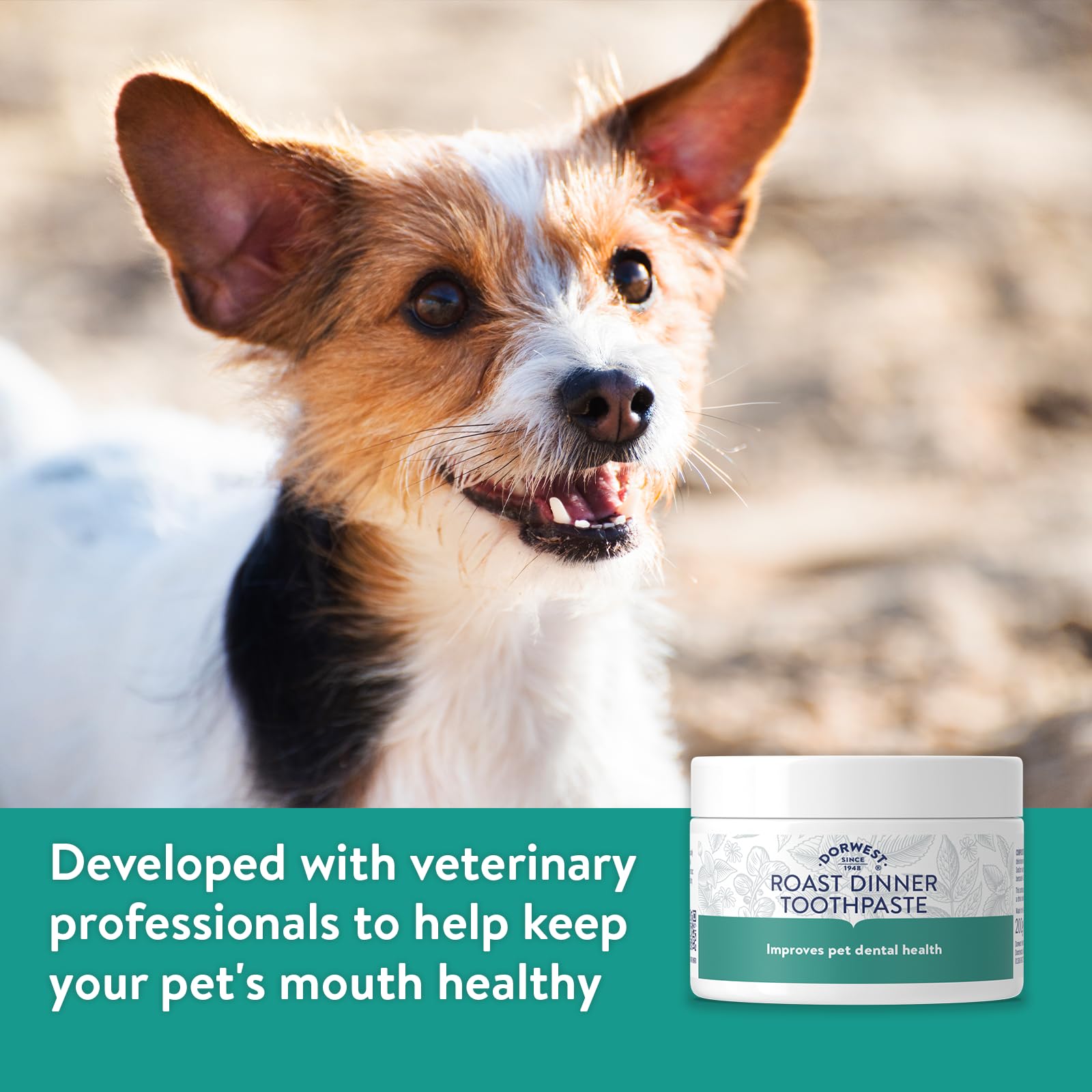 DORWEST HERBS Roast Dinner Toothpaste for Dogs - 200g | Whitening & Gum Health