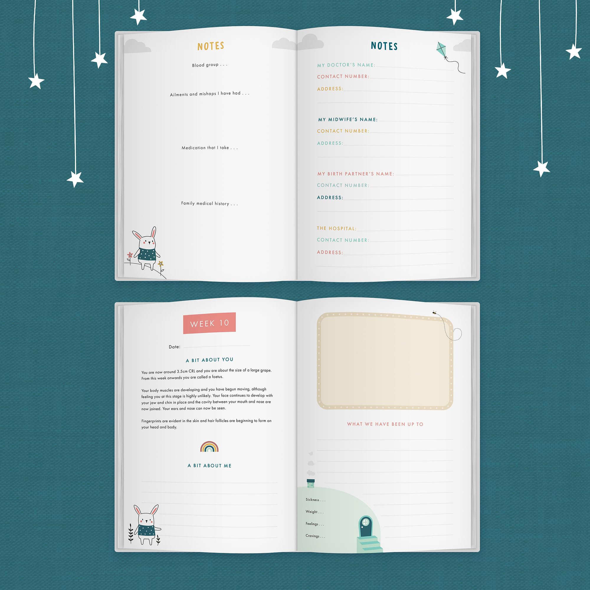 FROM YOU TO ME - Bump to Birthday - A Pregnancy & First Year Journal | 2nd Edition 3