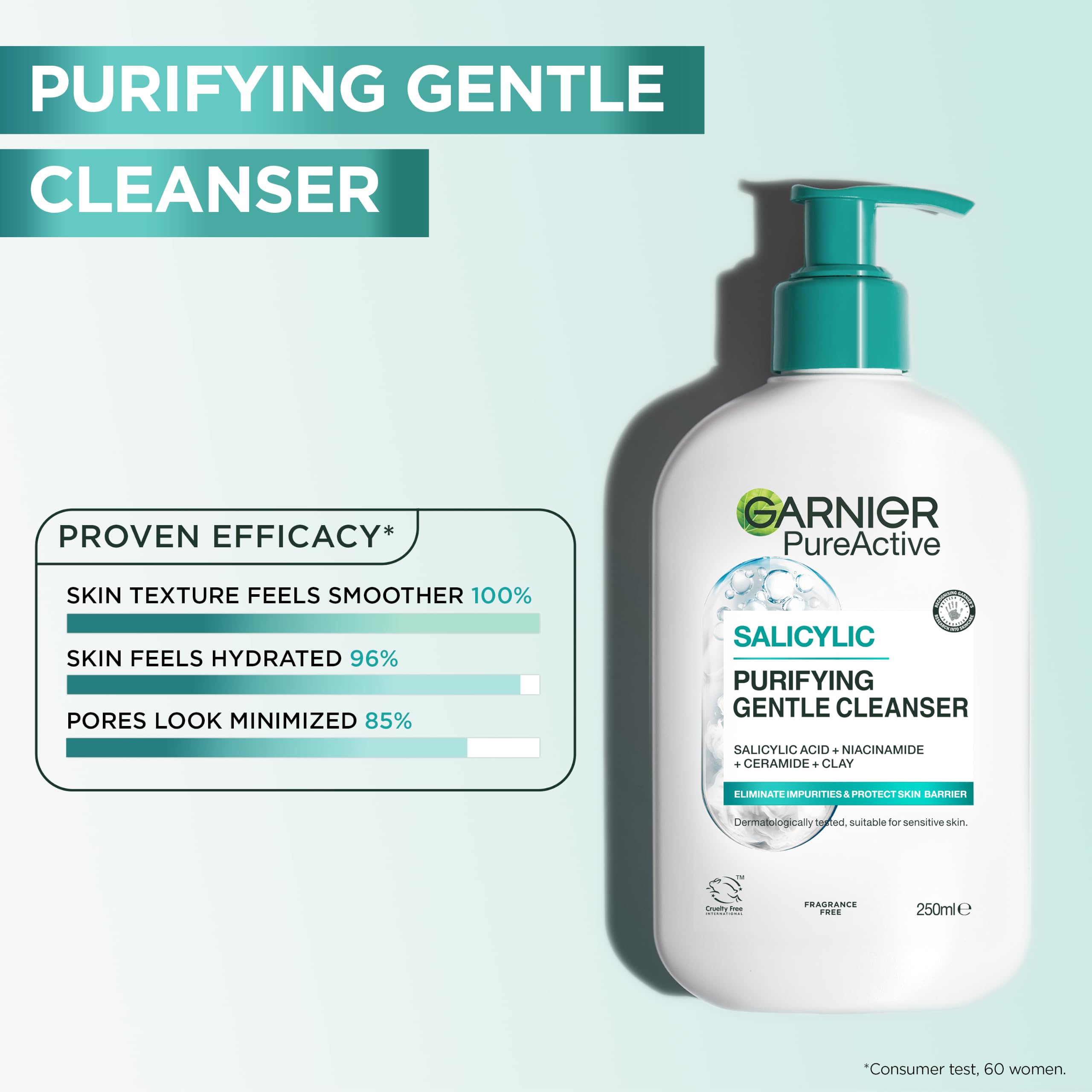 Garnier Pure Active Salicylic Purifying Gentle Face Cleanser - 250 ml