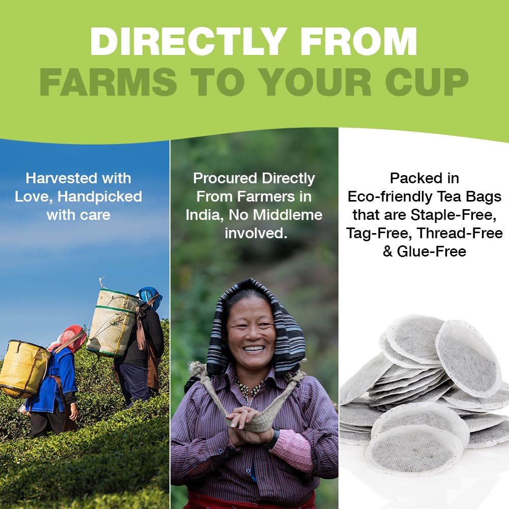 HANDPICK Green Tea Bags - 100 Count | Gluten Free & 100% Pure Green Tea | Round Teabags 3