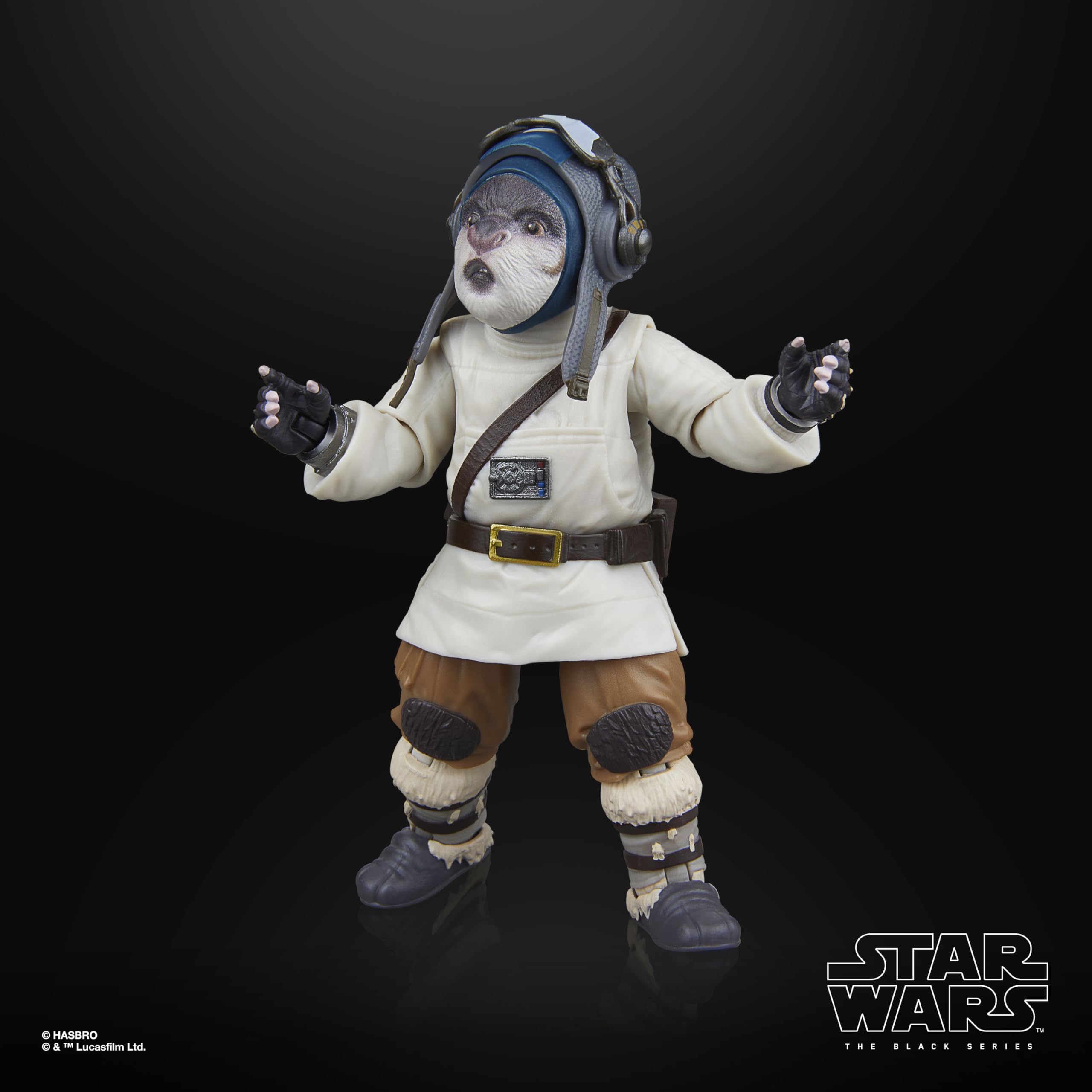 Star Wars The Black Series Bazil (Jedi Order Tracker) 6-Inch Action Figure - Ages 4+ 6