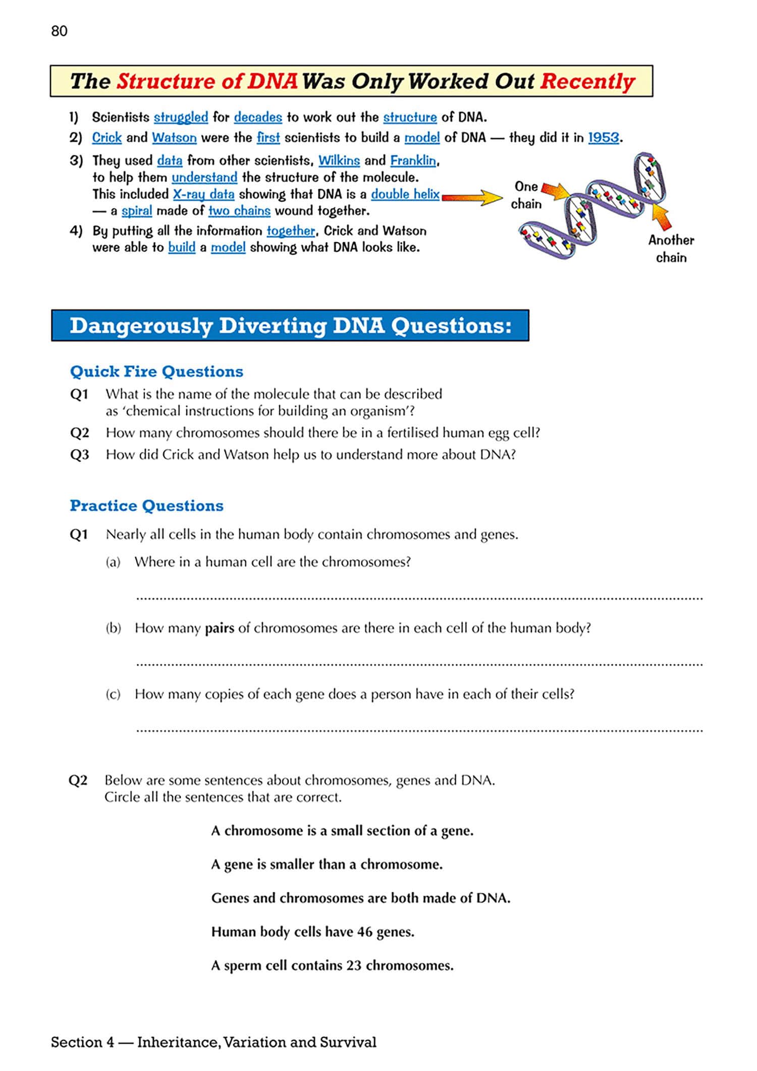 CGP KS3 Biology Study & Question Book - Higher Level | Ages 11-14 | Paperback 3