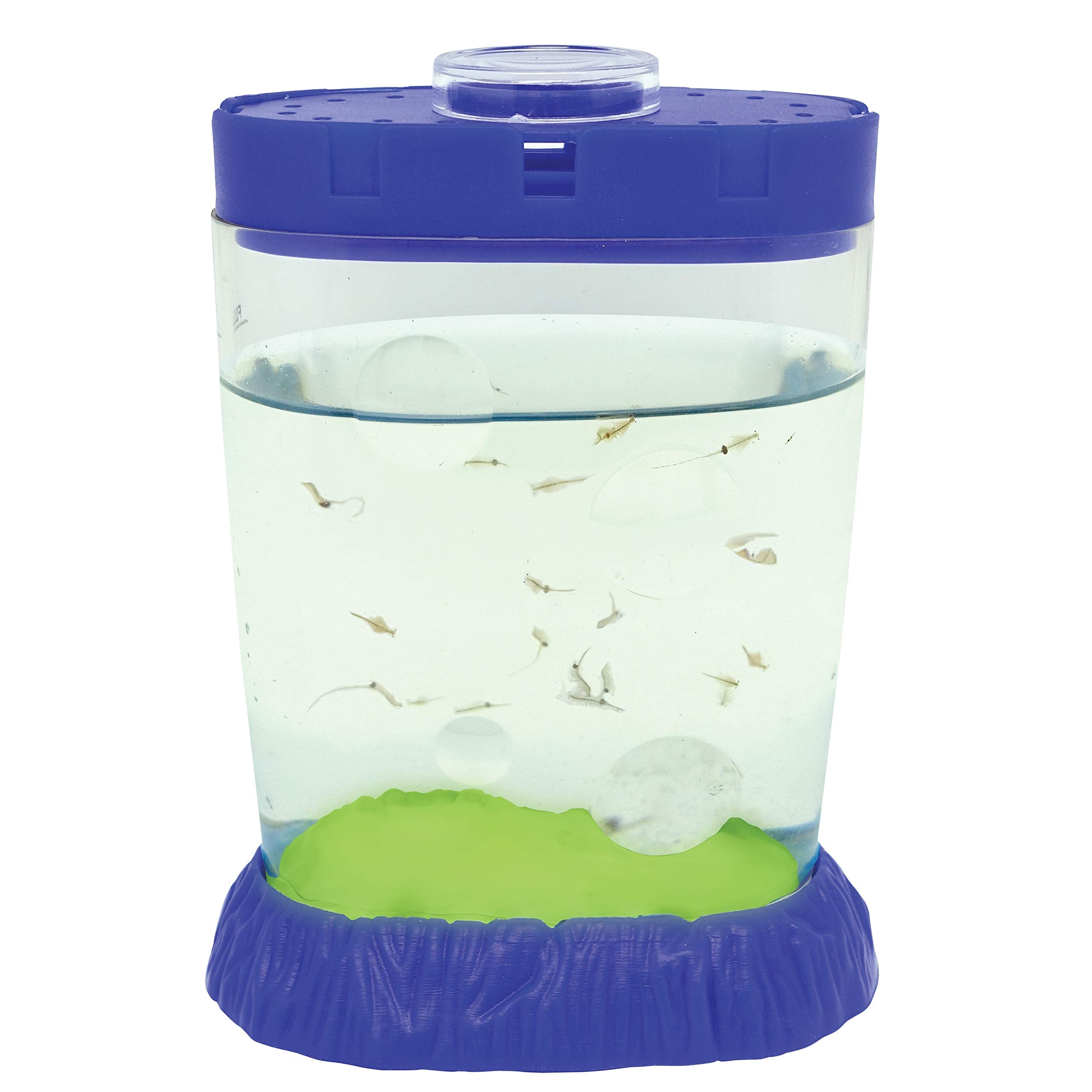 Sea Monkeys Glow in the Dark Magiquarium - Educational Science Kit for Kids 6+ 2