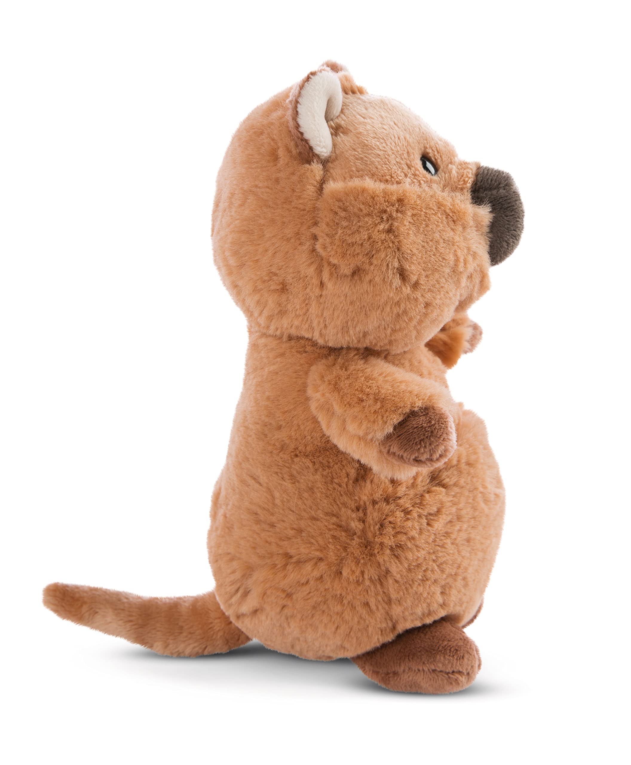 NICI Quokka-Mola 22 cm Plush Toy – Soft Stuffed Animal from Recycled Materials 10