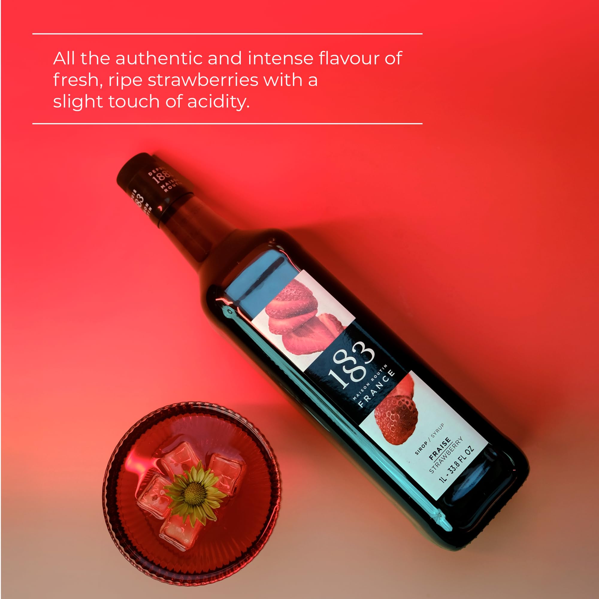 1883 MAISON ROUTIN Strawberry Syrup | 1L Liquid Concentrate for Coffee, Cocktails & Smoothies