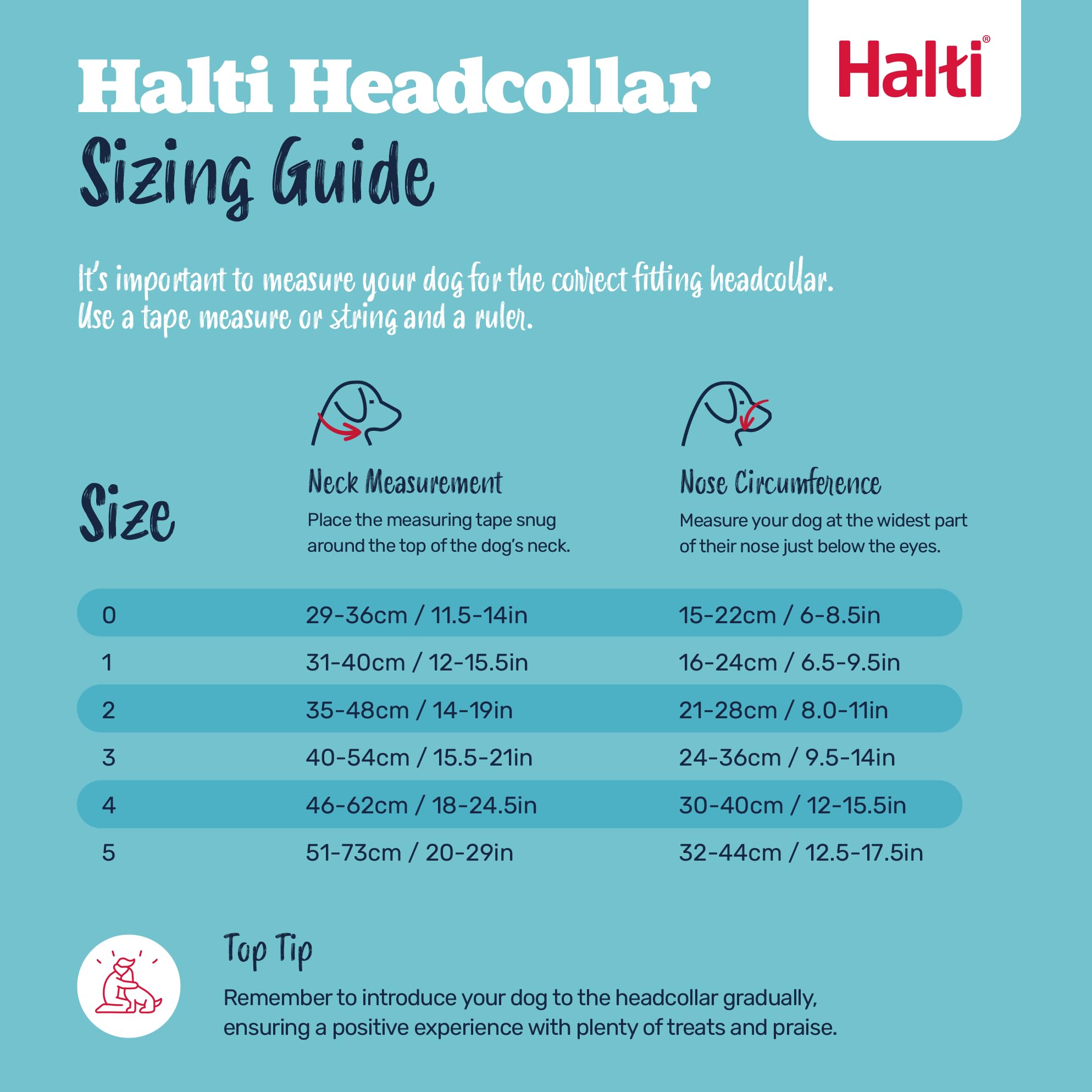Halti Headcollar - Anti-Pull Training Aid for Large Dogs | Size 4 Black | Reflective 5