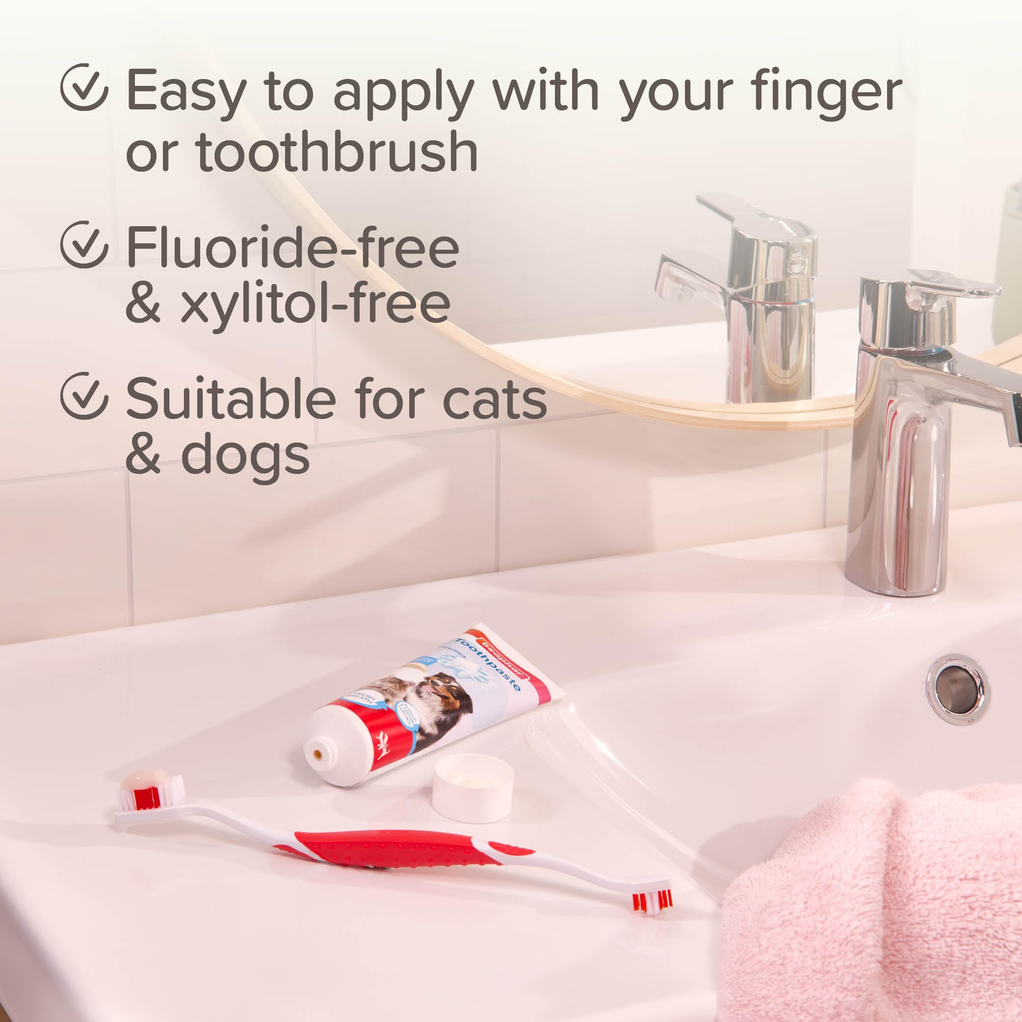 Beaphar Liver Flavour Toothpaste with Enzymes for Dogs & Cats | 100g | Fluoride & Xylitol Free 3