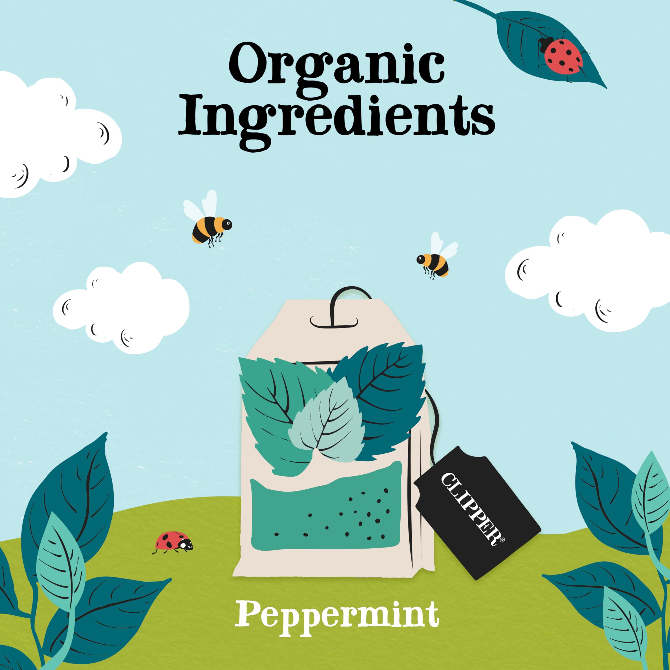 Clipper Natural, Fair & Delicious Organic Peppermint Herbal Tea Bags - 250 Count, Caffeine Free 3
