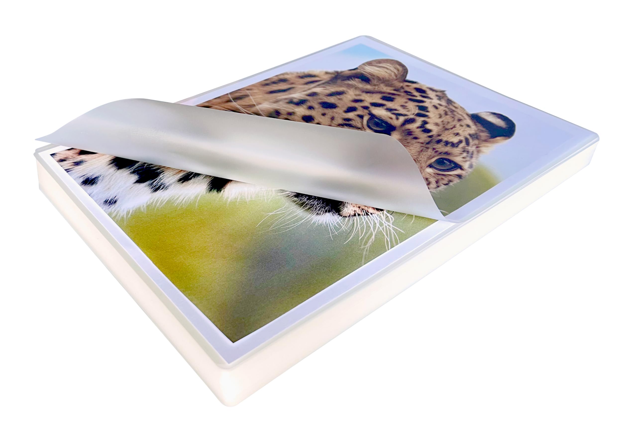 ProProd Premium A4 250 $\mu$ Glossy Laminating Pouches - Pack of 100 | 125 Micron Each Side