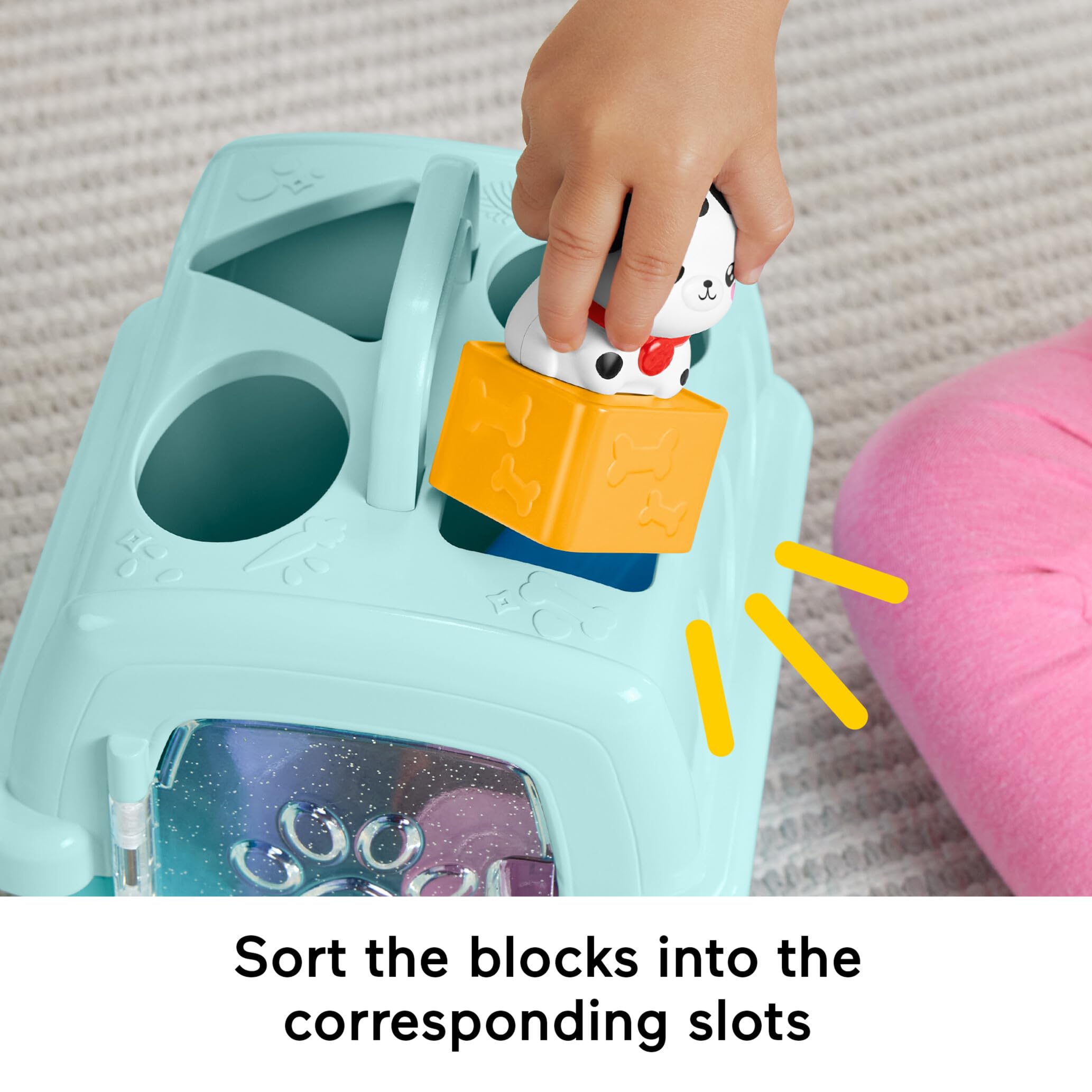 Fisher-Price FP Pets Sorting and Animal Transport Box - Shape Sorting Toy for Babies 6M+ 9