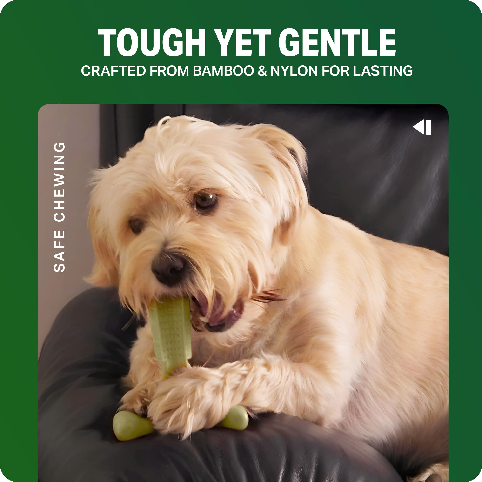 Bamboodles T-Bone Dog Chew Toy - Large Size | Cheese Flavour | Heavy Duty 6