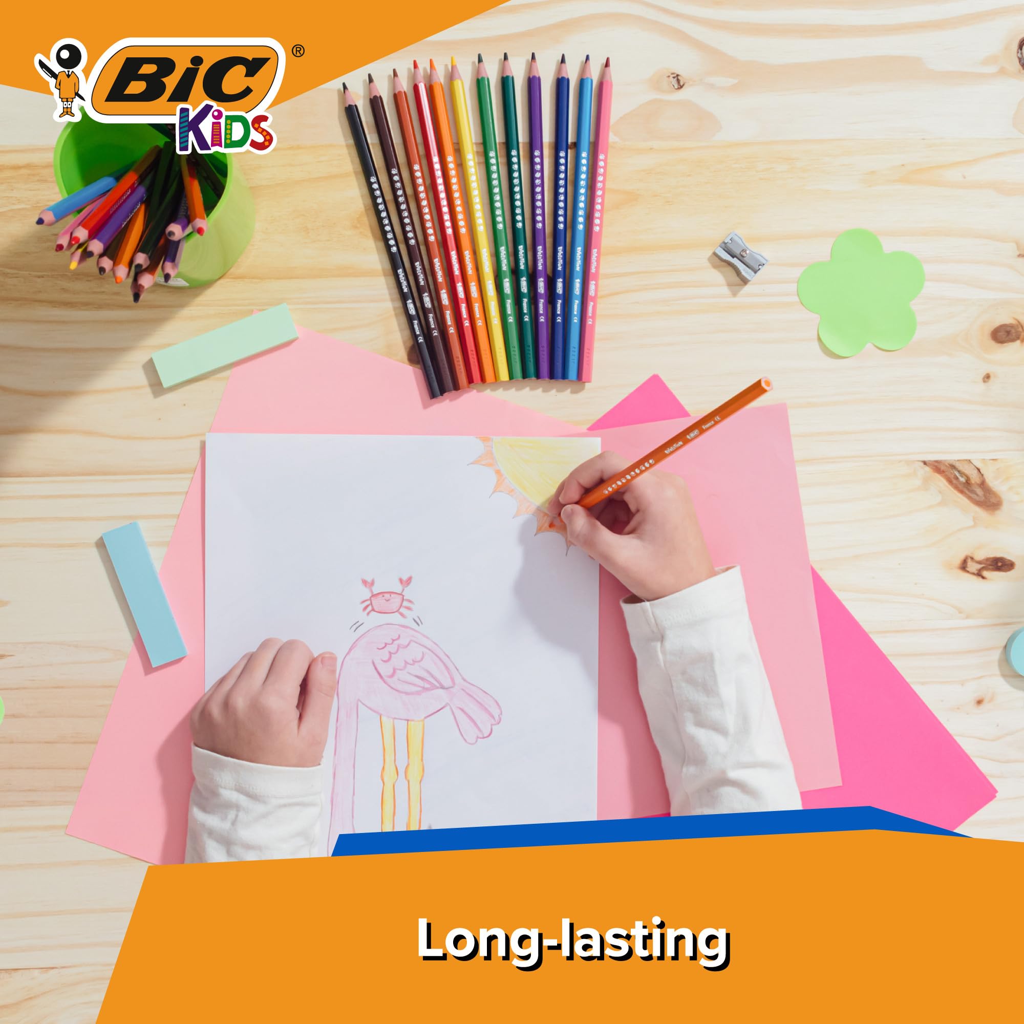 BIC Kids Evolution Colouring Pencils - 12 Pack | Vivid Colour | Easy to Sharpen | Ages 5+