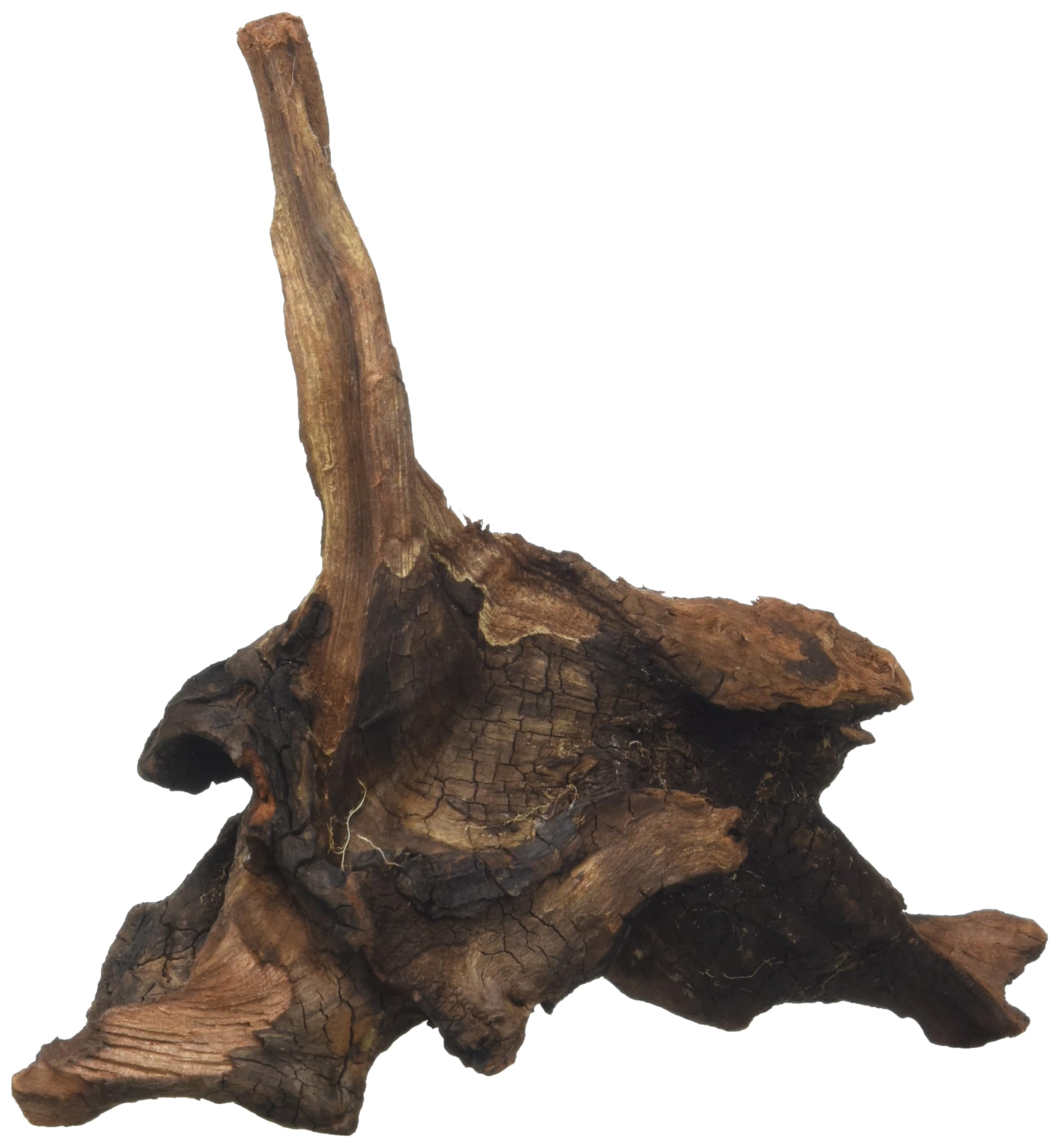 Amtra Mystic Wood - Natural Sinking Decor for Aquariums | 15-20 cm