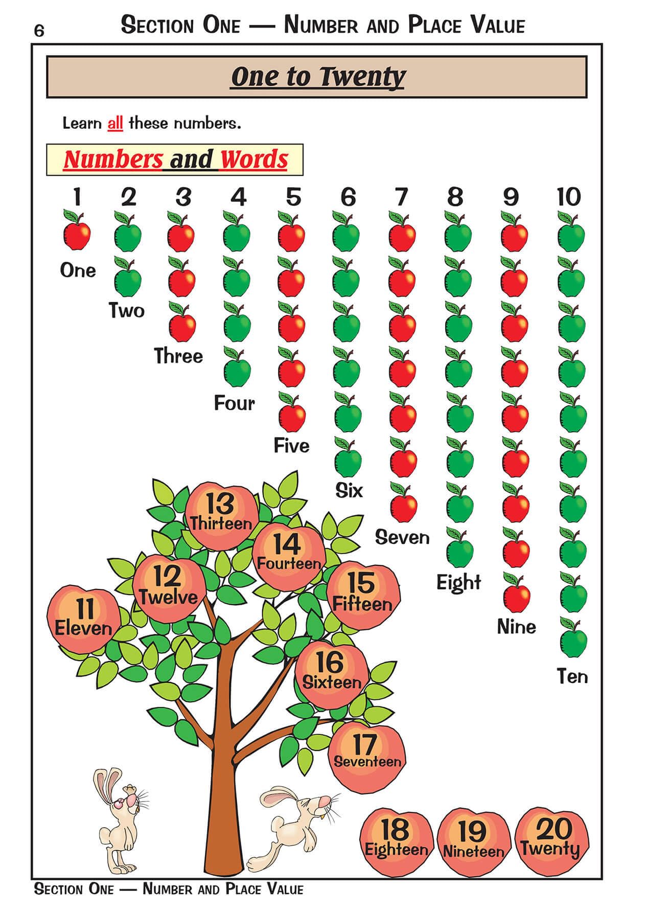 CGP KS1 Maths Targeted Study & Question Book - Year 1 | Ages 5-6 | Paperback