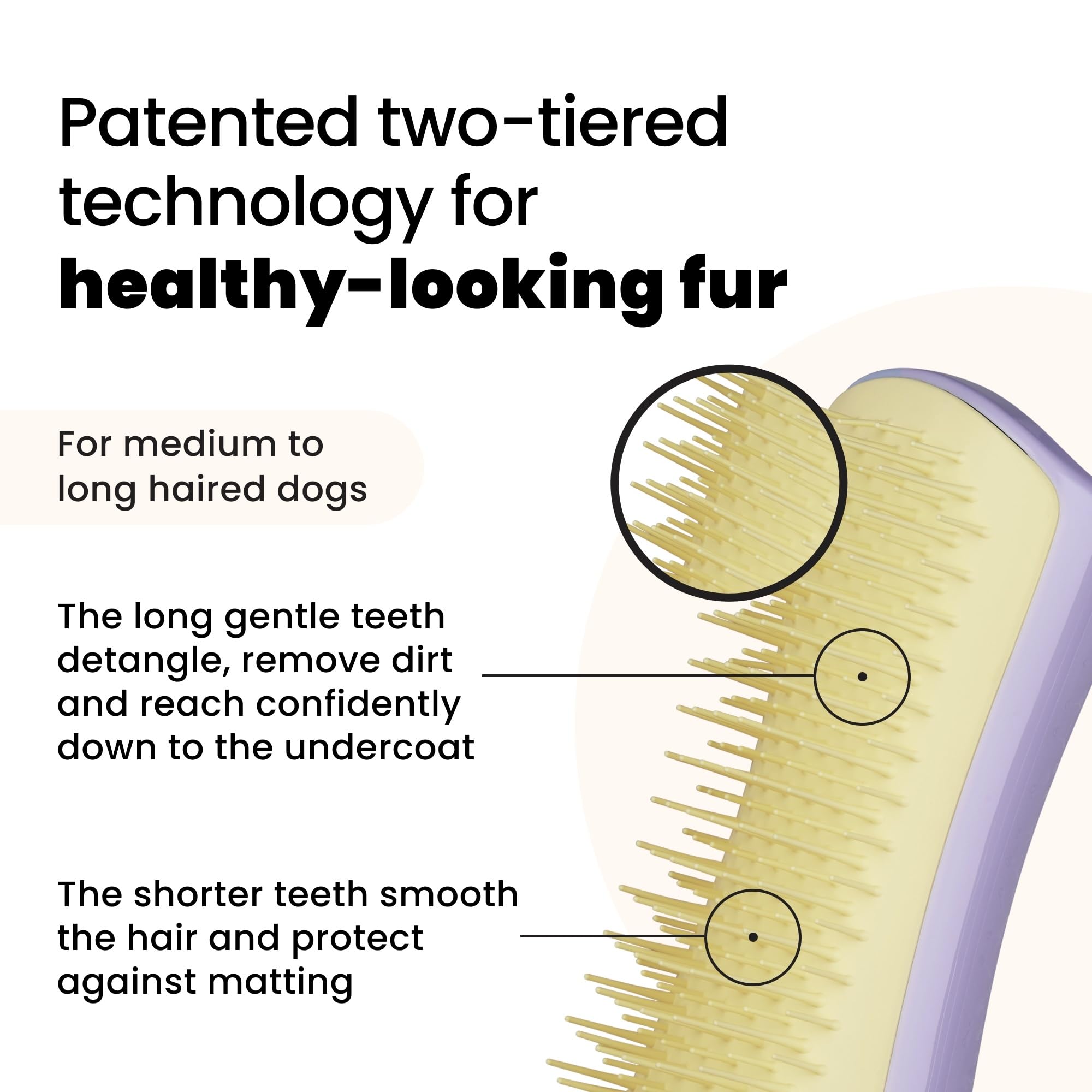 Pet Teezer Small Detangling Dog Grooming Brush - Ergonomic Design, Gentle Polymer Teeth, Dual-Tier System | Lilac & Yellow 2