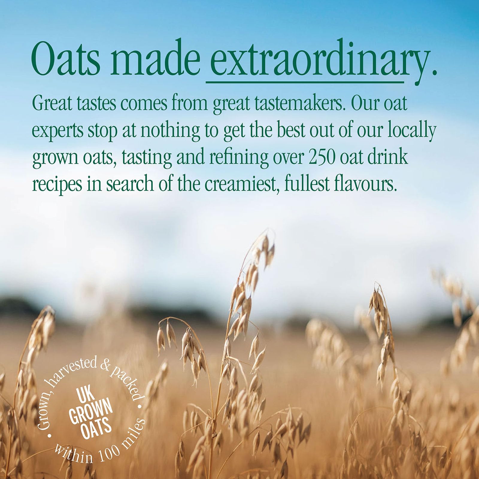 MOMA Extra Creamy Oat Drink - 750ml - 100% Plant-Based, Vegan, No Added Sugar 7