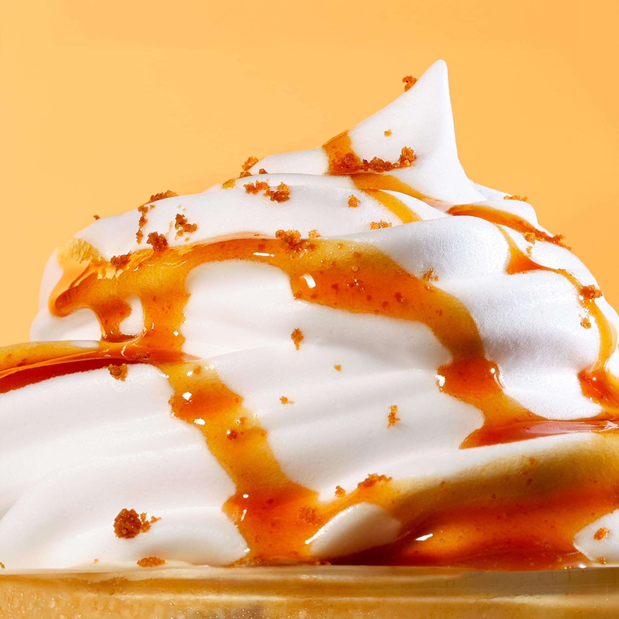 1883 Maison Routin Caramel Sauce - Smooth, Buttery Flavor | 500ml 7