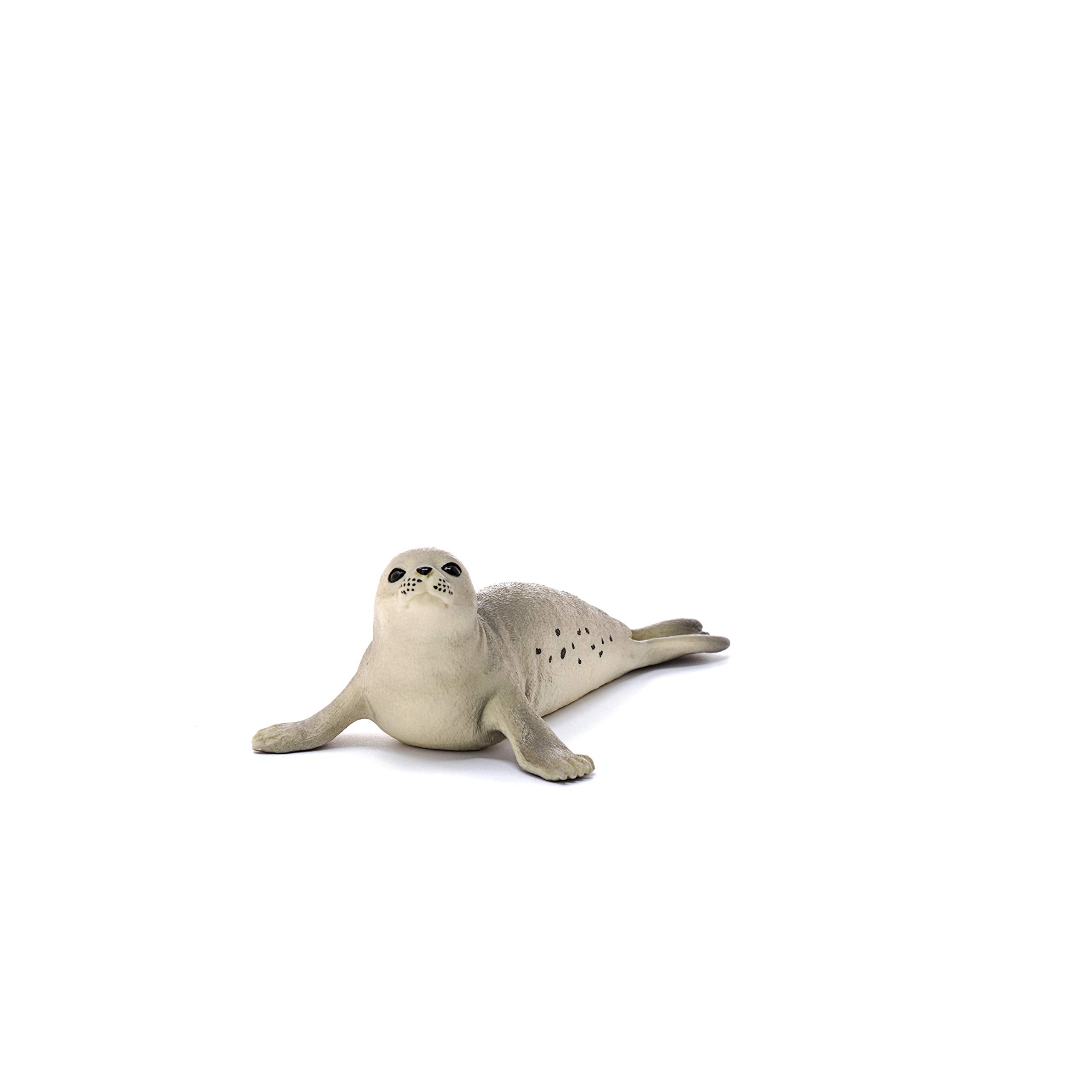 SCHLEICH 14801 Seal Wildlife Animal Figure - Educational Play for Kids 3