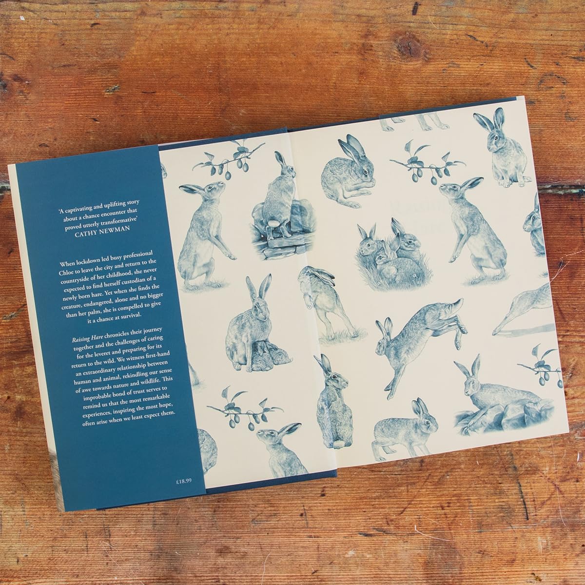 Chloe Dalton - Raising Hare: The heart-warming true story of an unlikely friendship | Hardcover 3