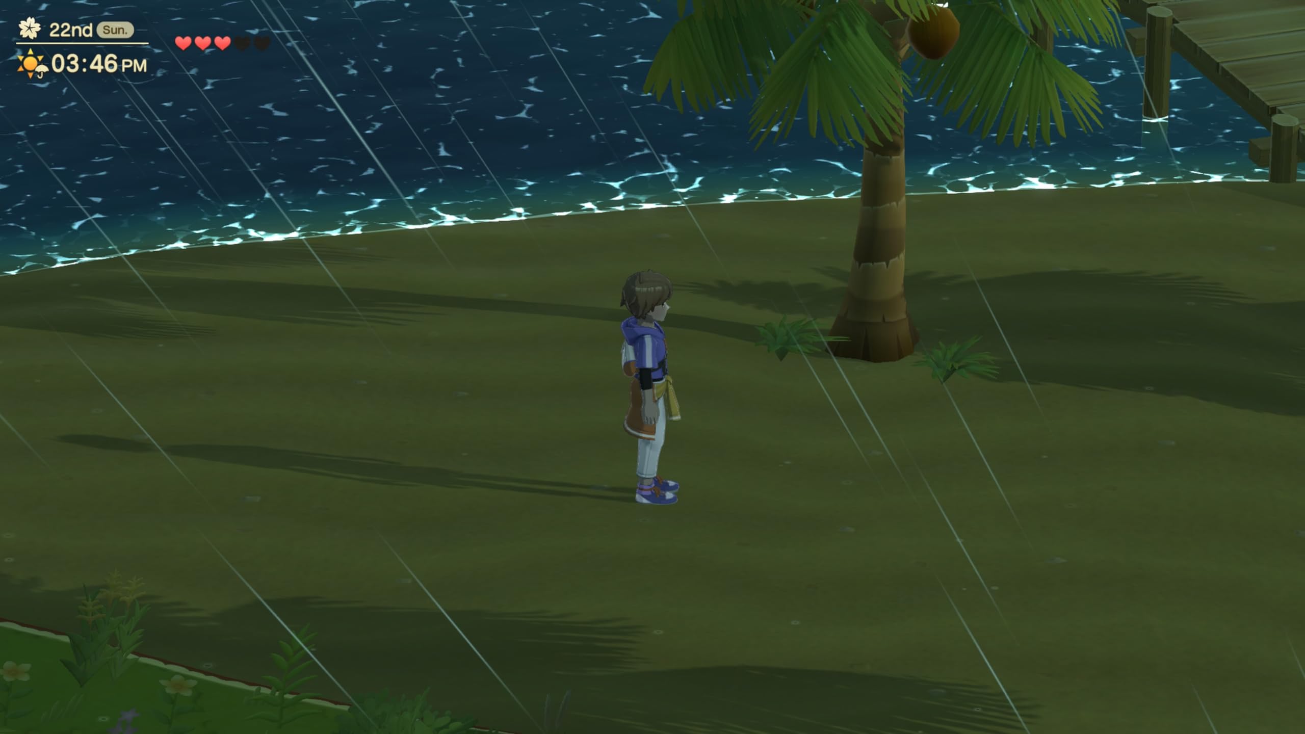 Harvest Moon: Home Sweet Home - Nintendo Switch Special Edition 13