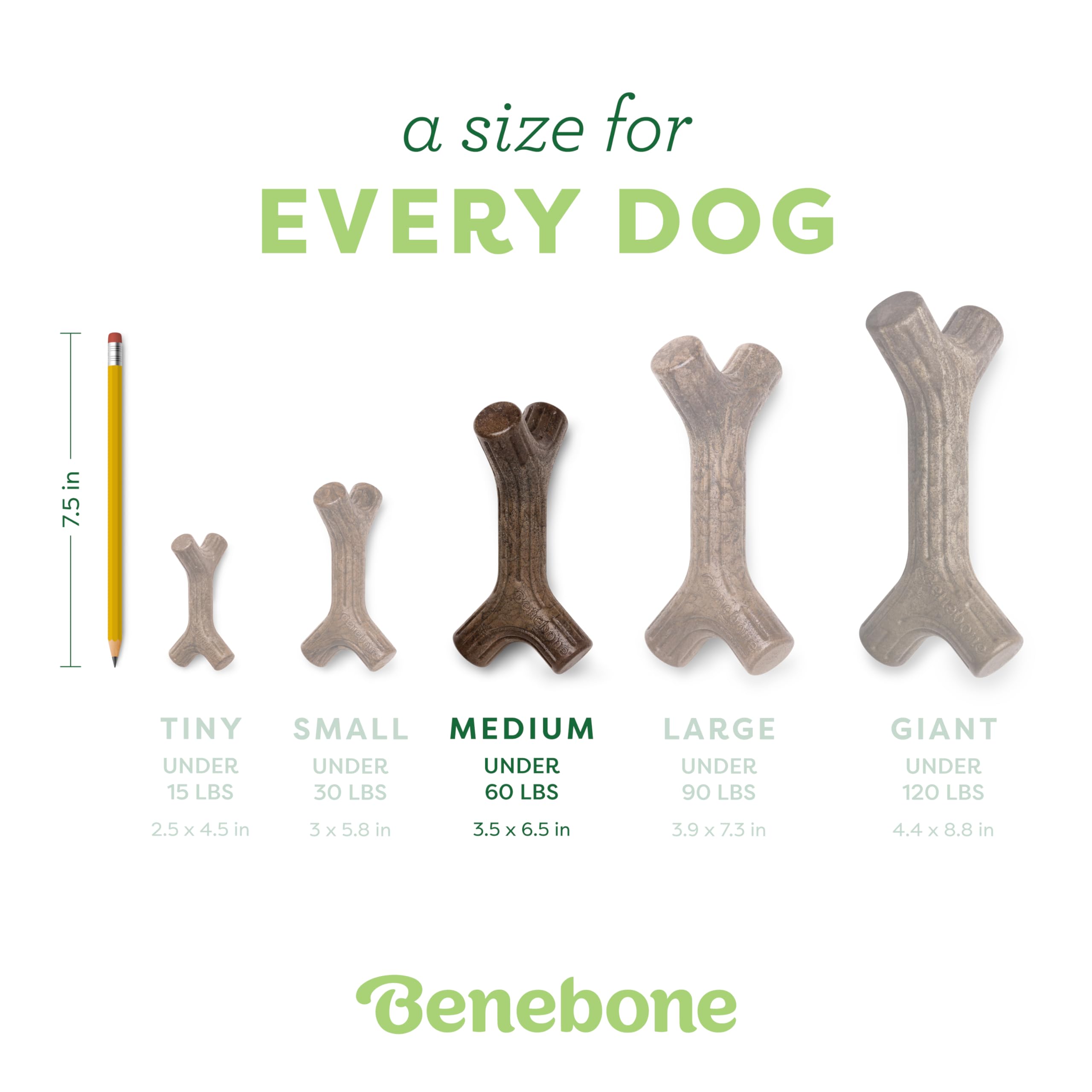 Benebone Maplestick Durable Dog Chew Toy - Medium, Real Maple Wood Flavor 4